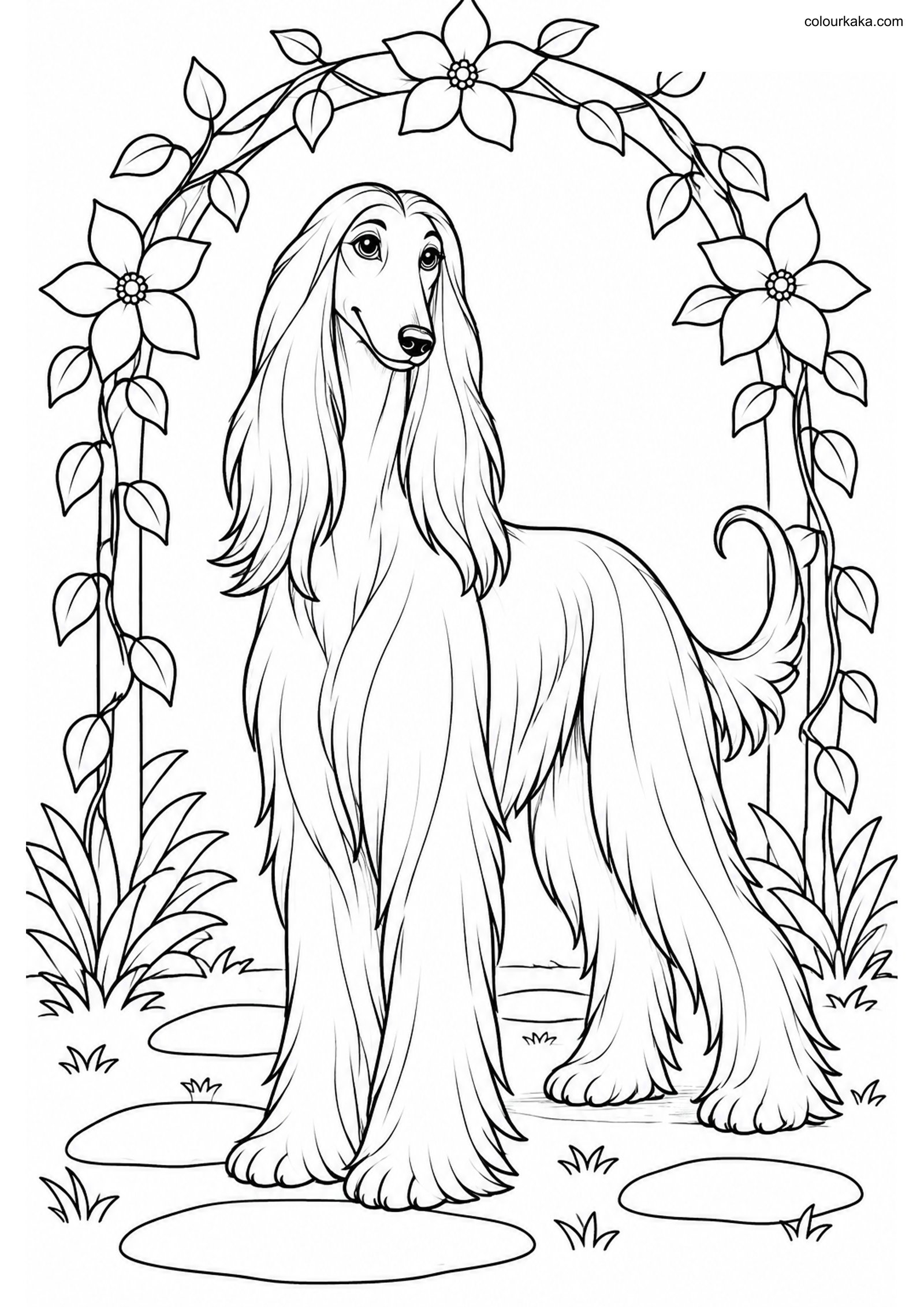 Afghan Hound Colouring Sheet colouring page preview