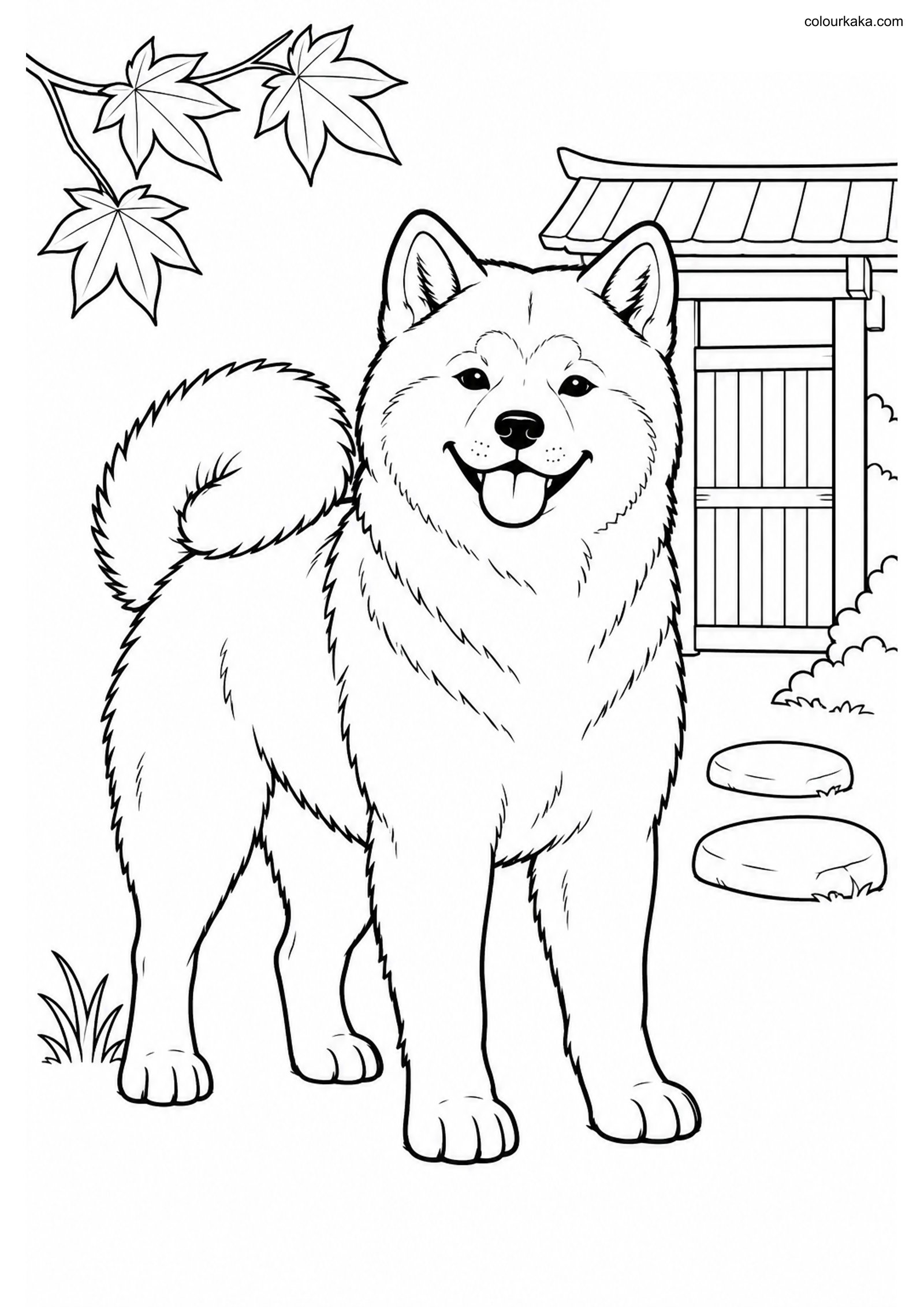 Akita Dog Colouring Page colouring page preview