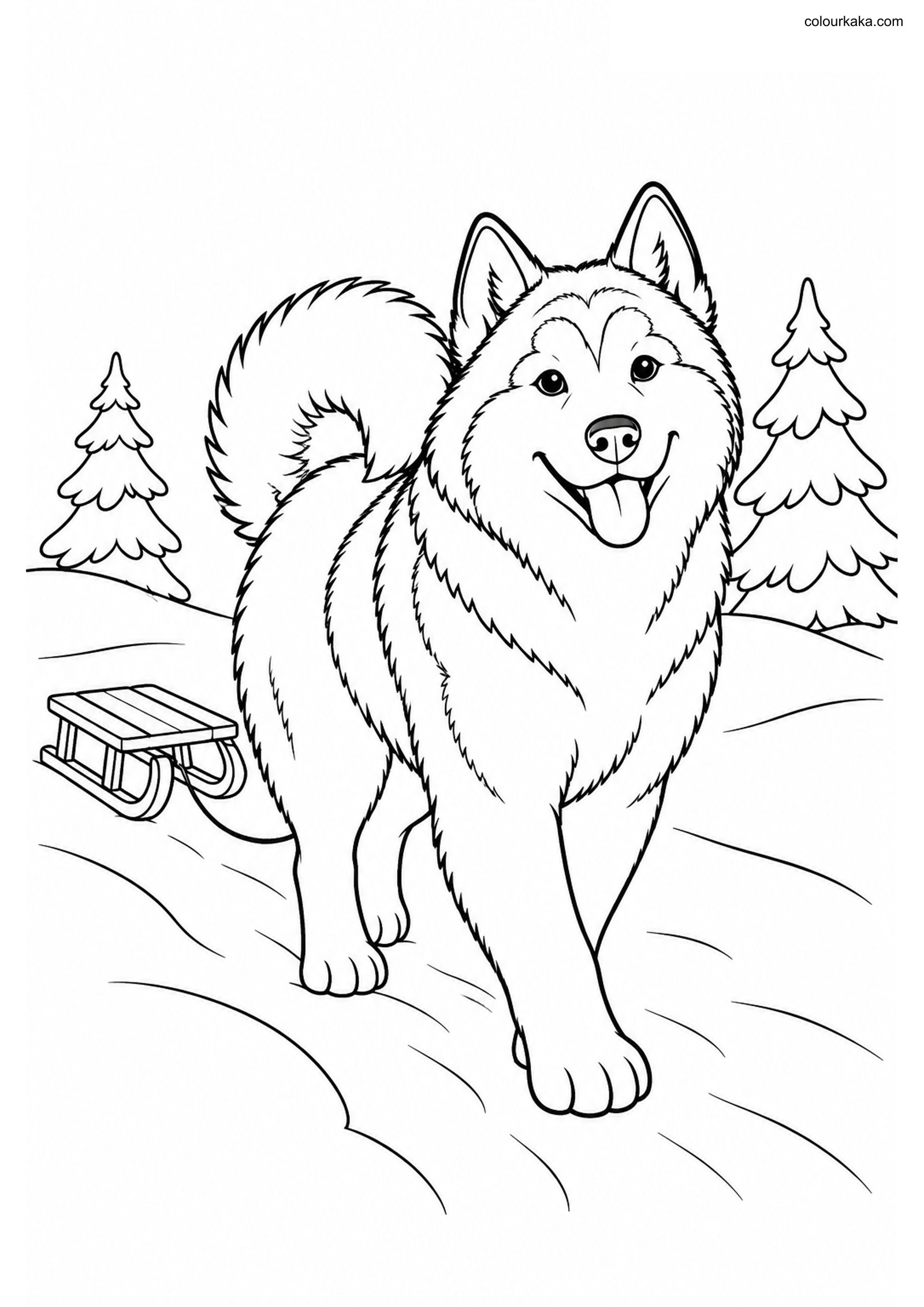 Alaskan Malamute Colouring colouring page preview