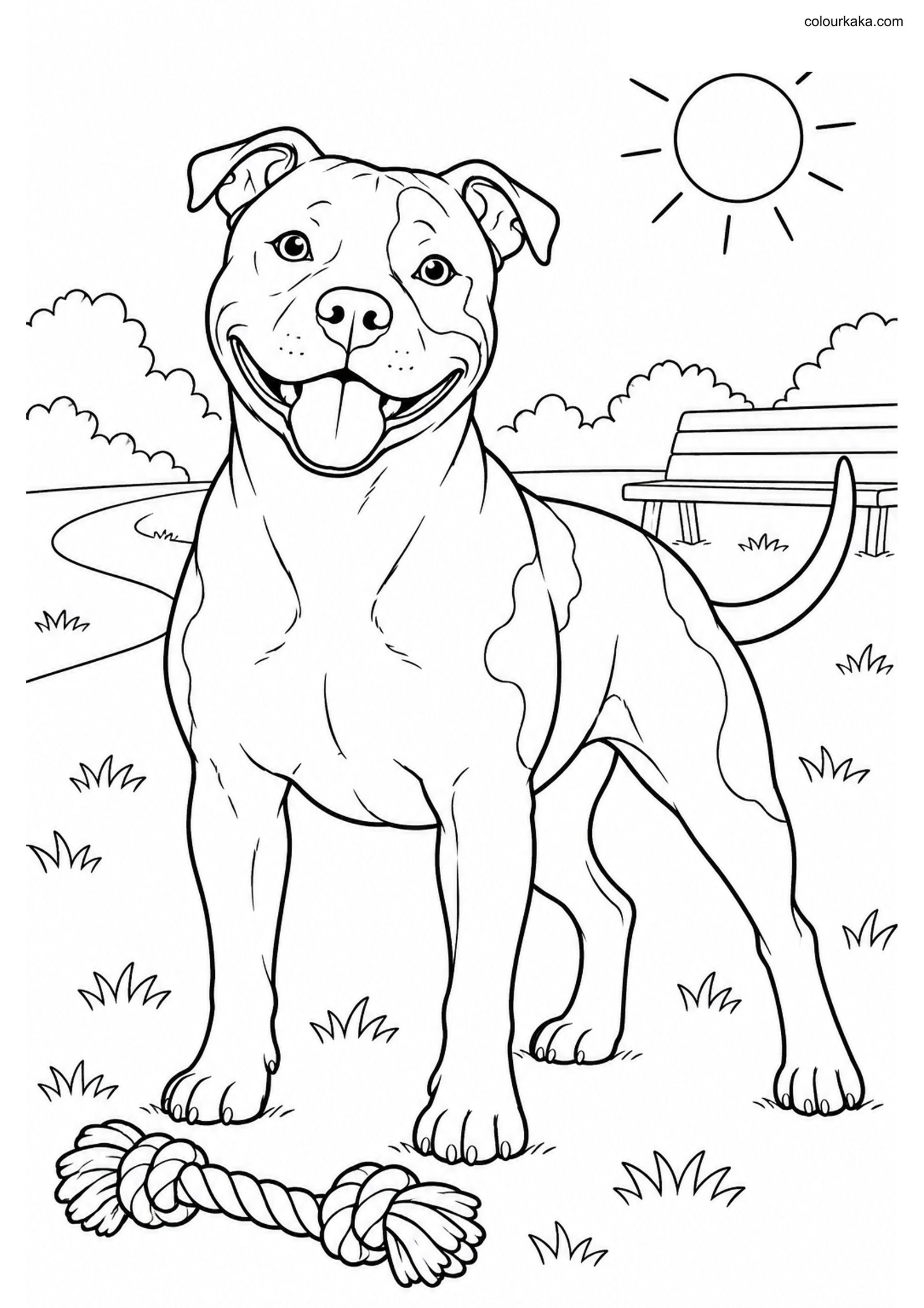 American Staffordshire Coloring colouring page preview