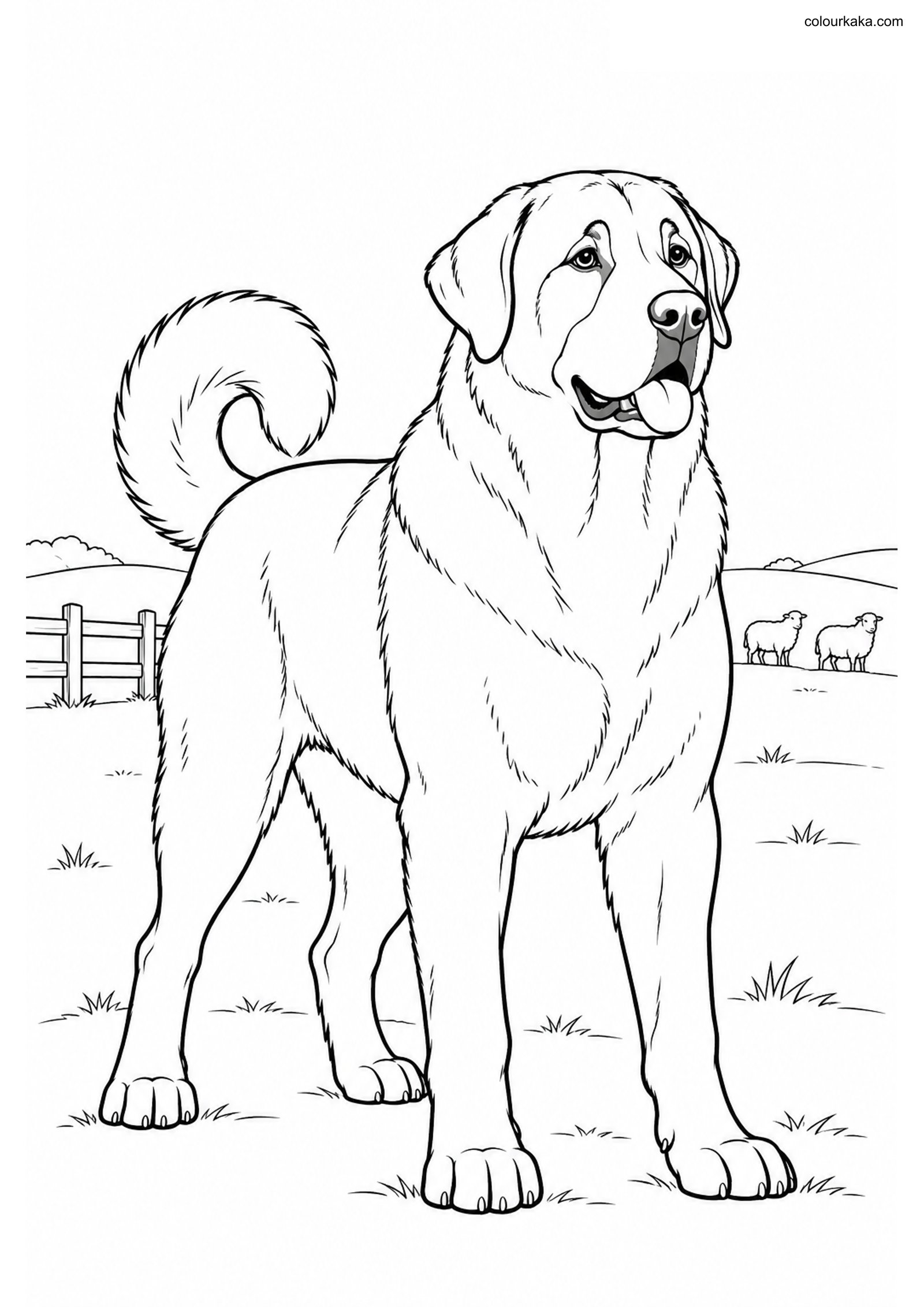Anatolian Shepherd Coloring colouring page preview