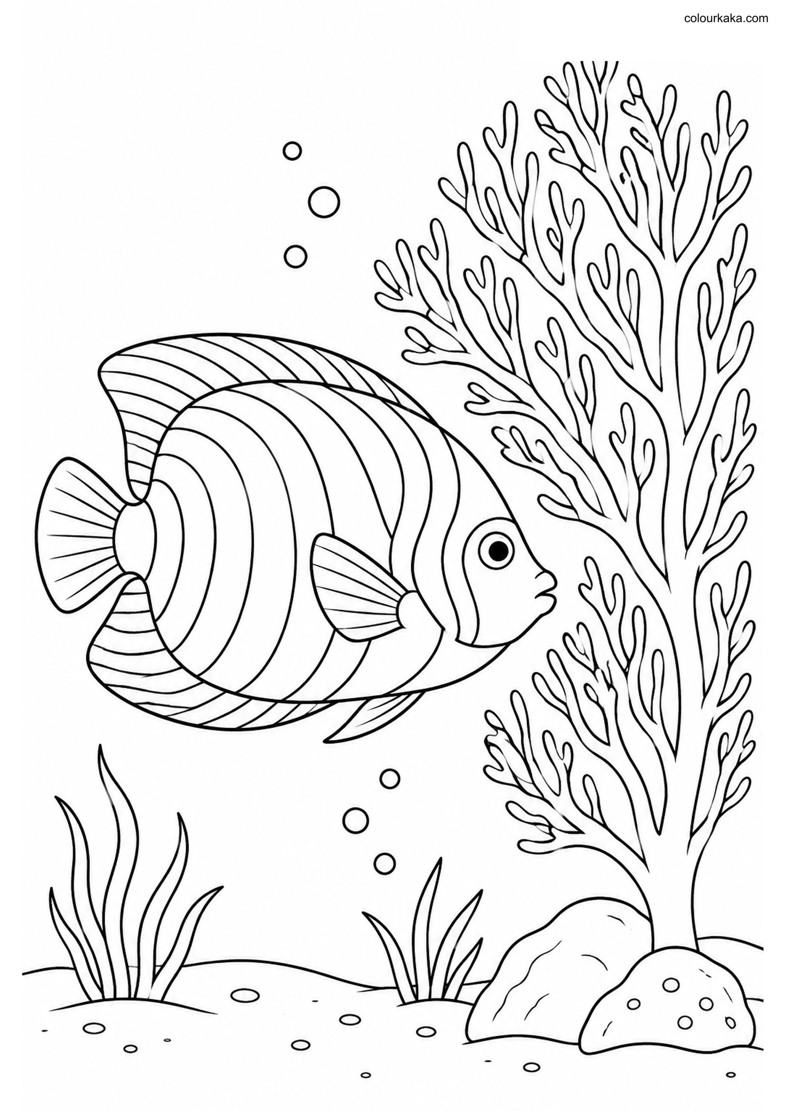 Marine Angelfish Colouring Page colouring page preview