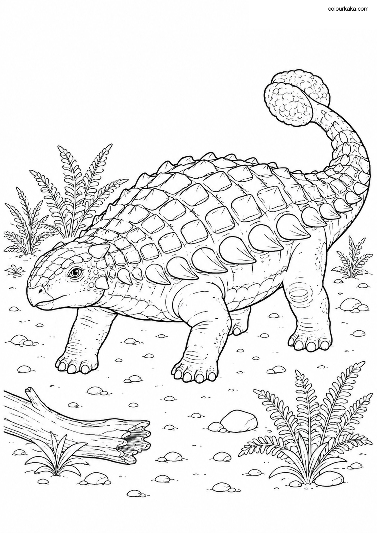 Ankylosaurus Colouring Page colouring page preview