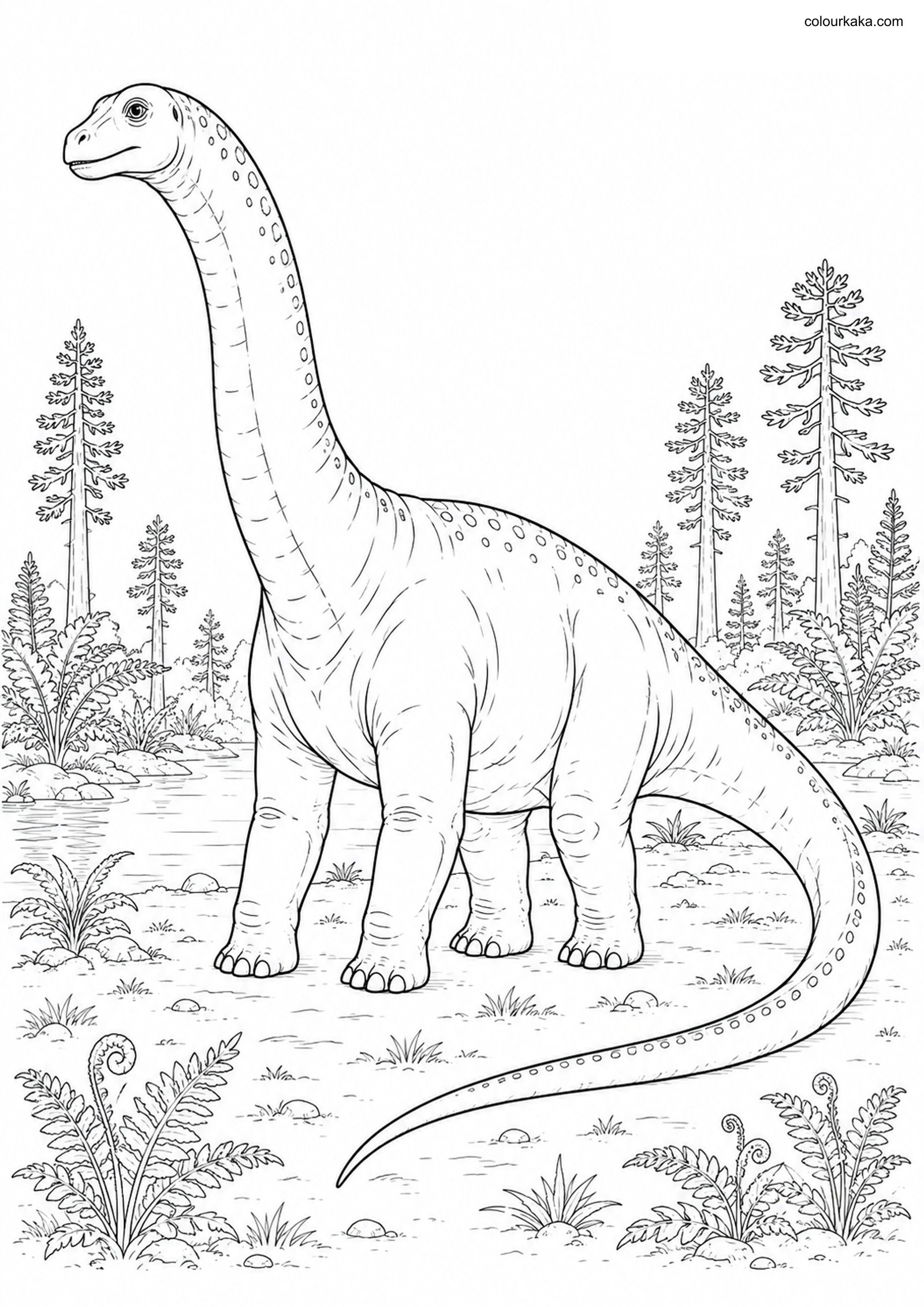 Apatosaurus Colouring Page colouring page preview