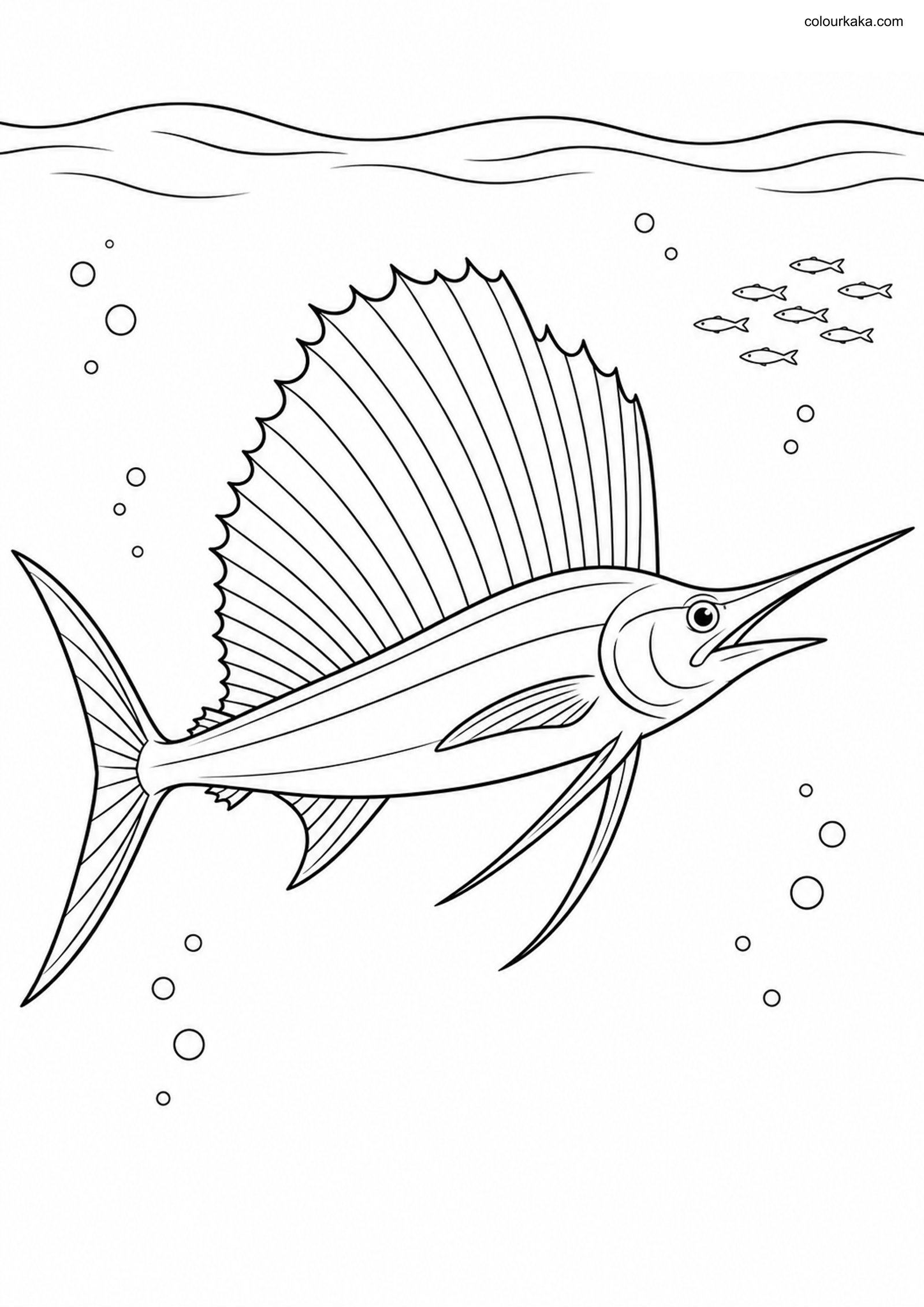 Atlantic Sailfish Colouring colouring page preview