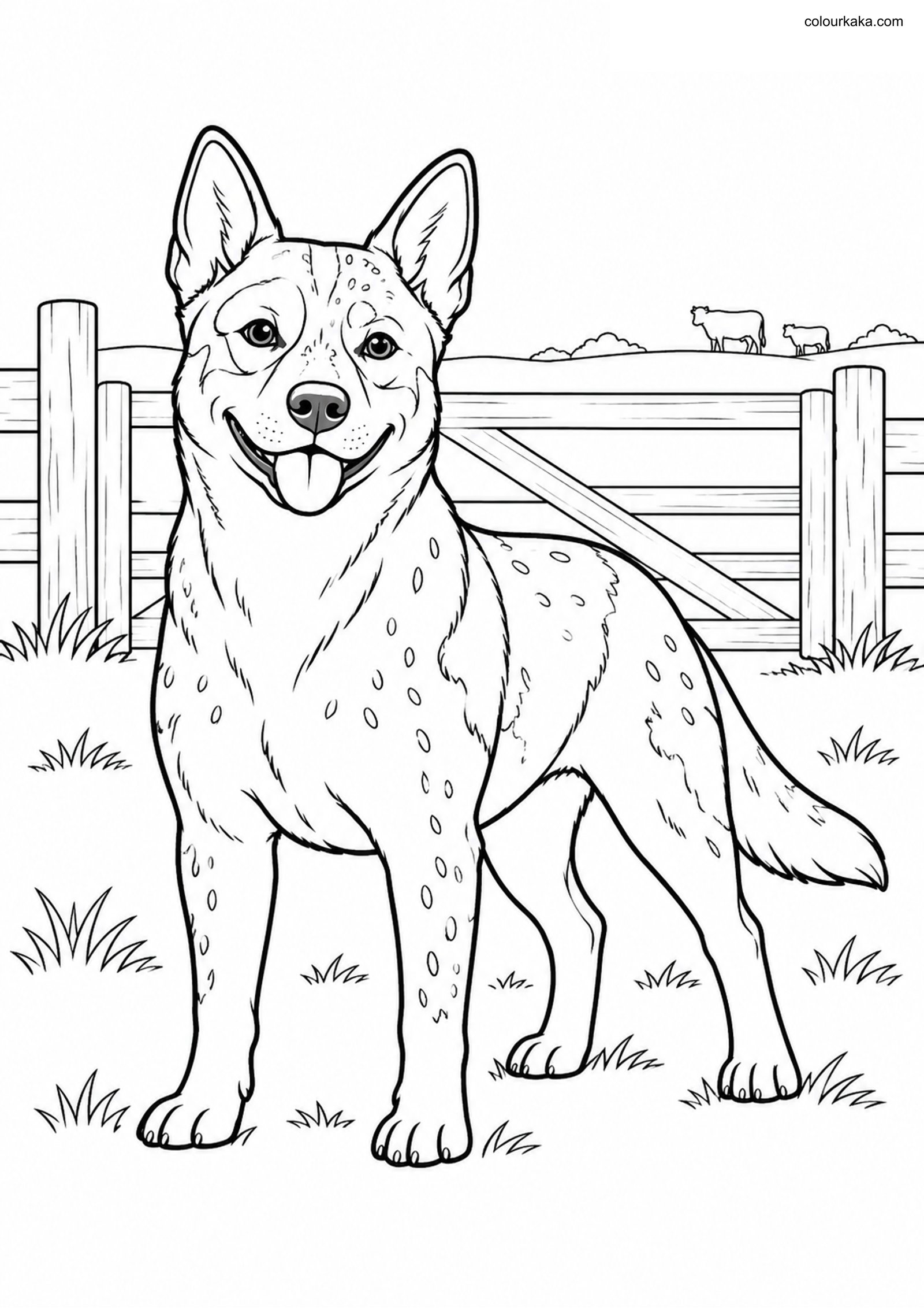 Australian Cattle Dog Page colouring page preview