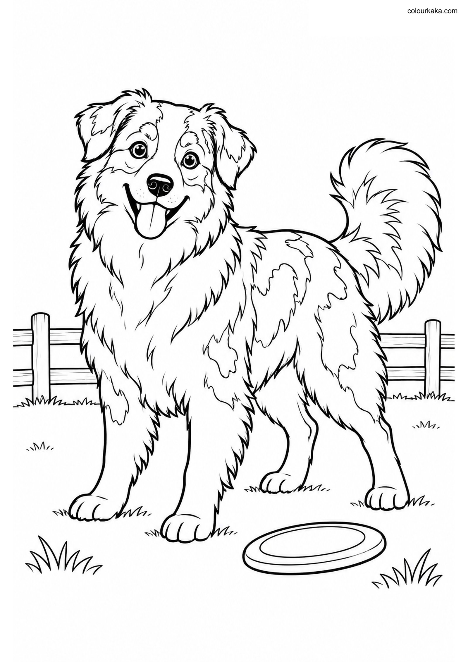 Australian Shepherd Colouring colouring page preview