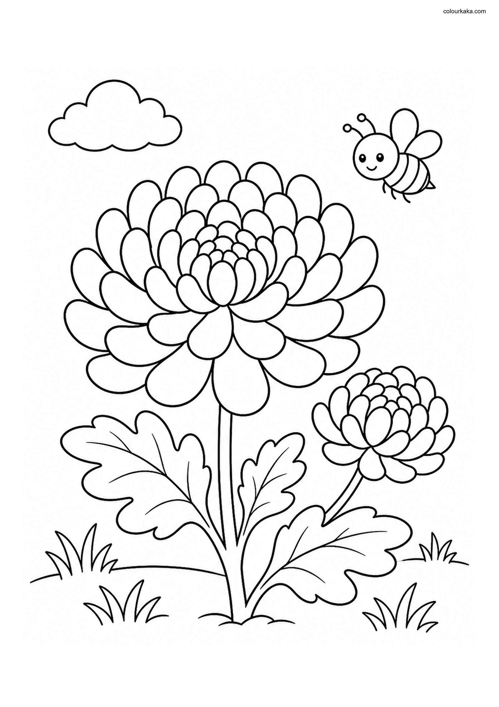 Chrysanthemum Colouring Page colouring page preview