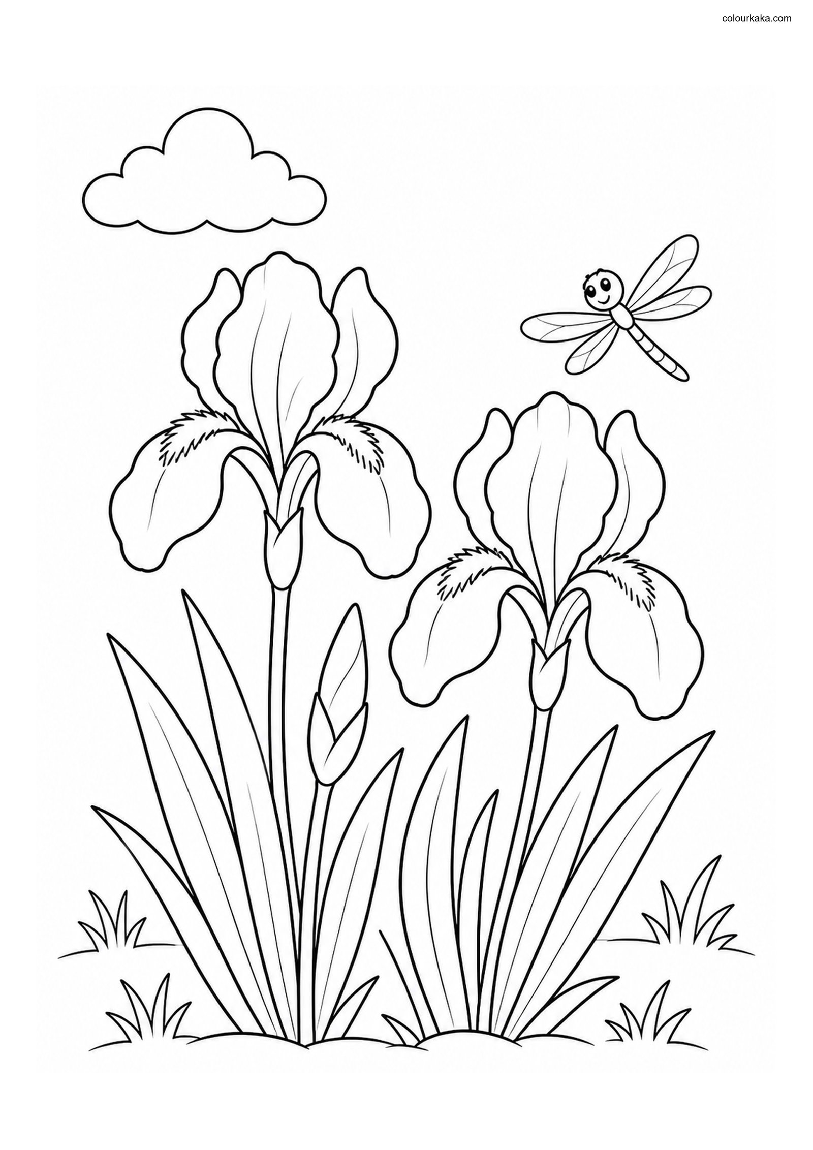 Iris Garden Colouring Page colouring page preview