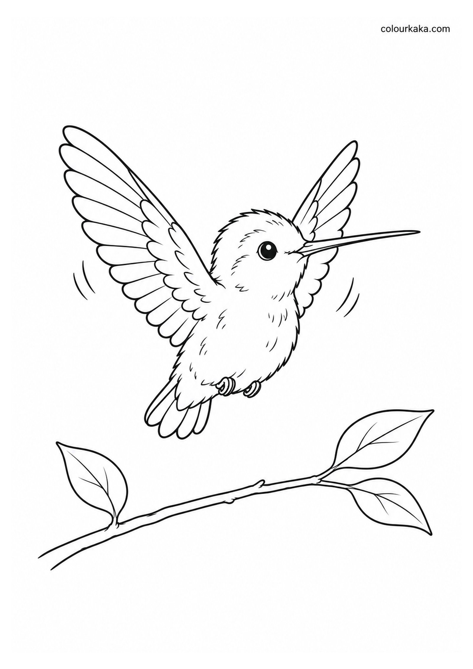 Baby Hummingbird Learning to Fly colouring page preview