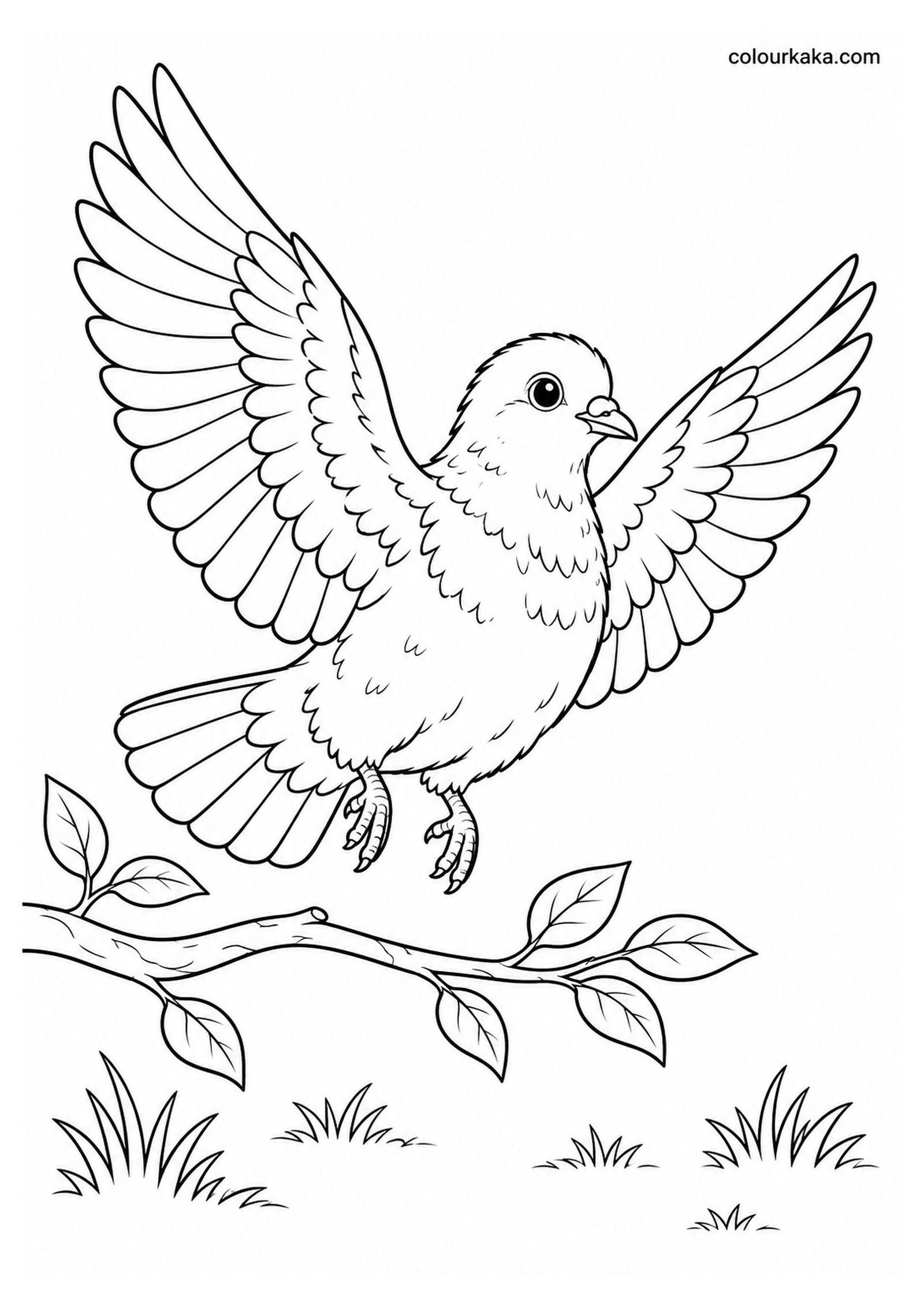 Baby Pigeon Learning to Fly Colouring Page colouring page preview