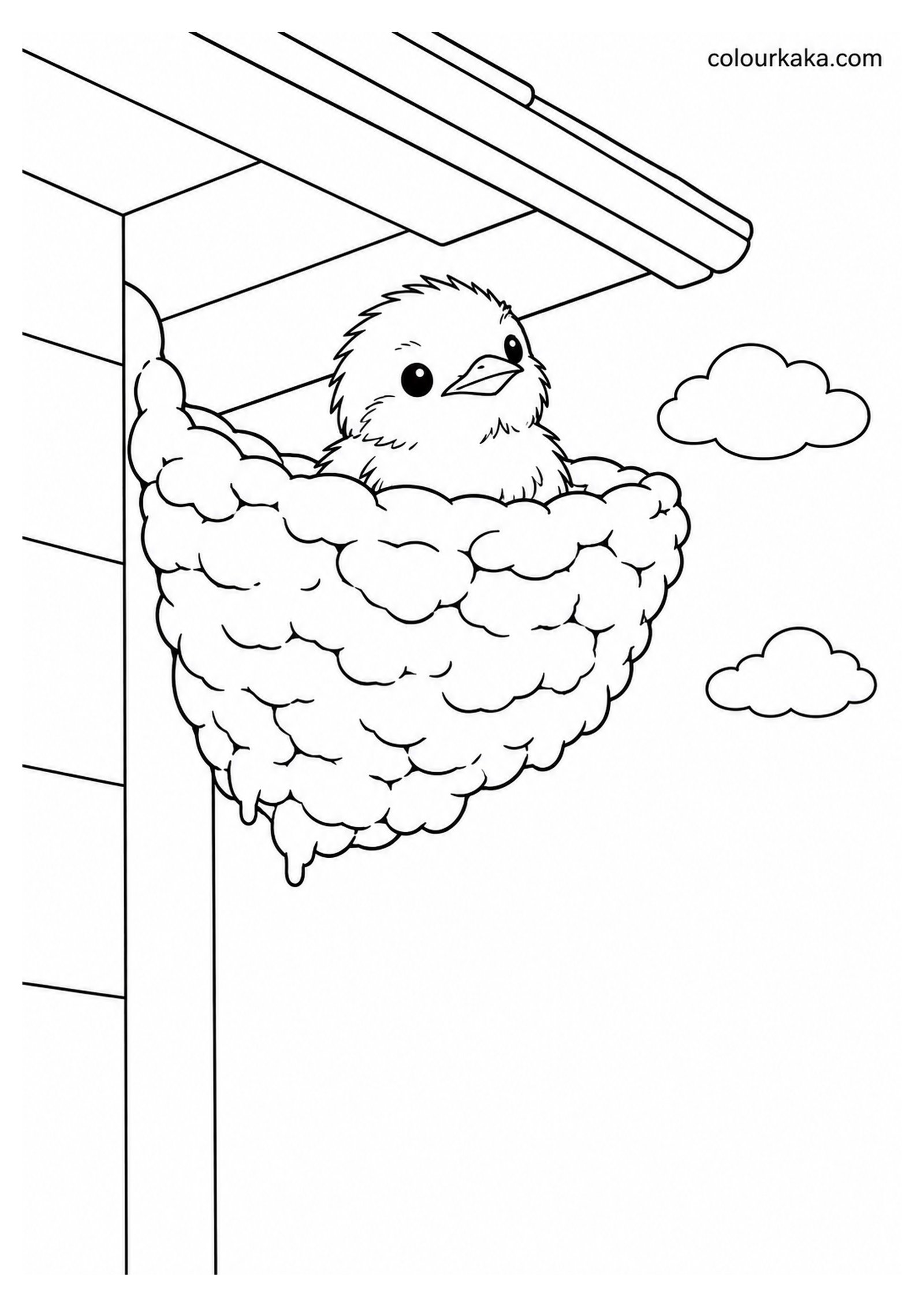 Baby Swallow Peeking Out of the Nest Colouring Page colouring page preview
