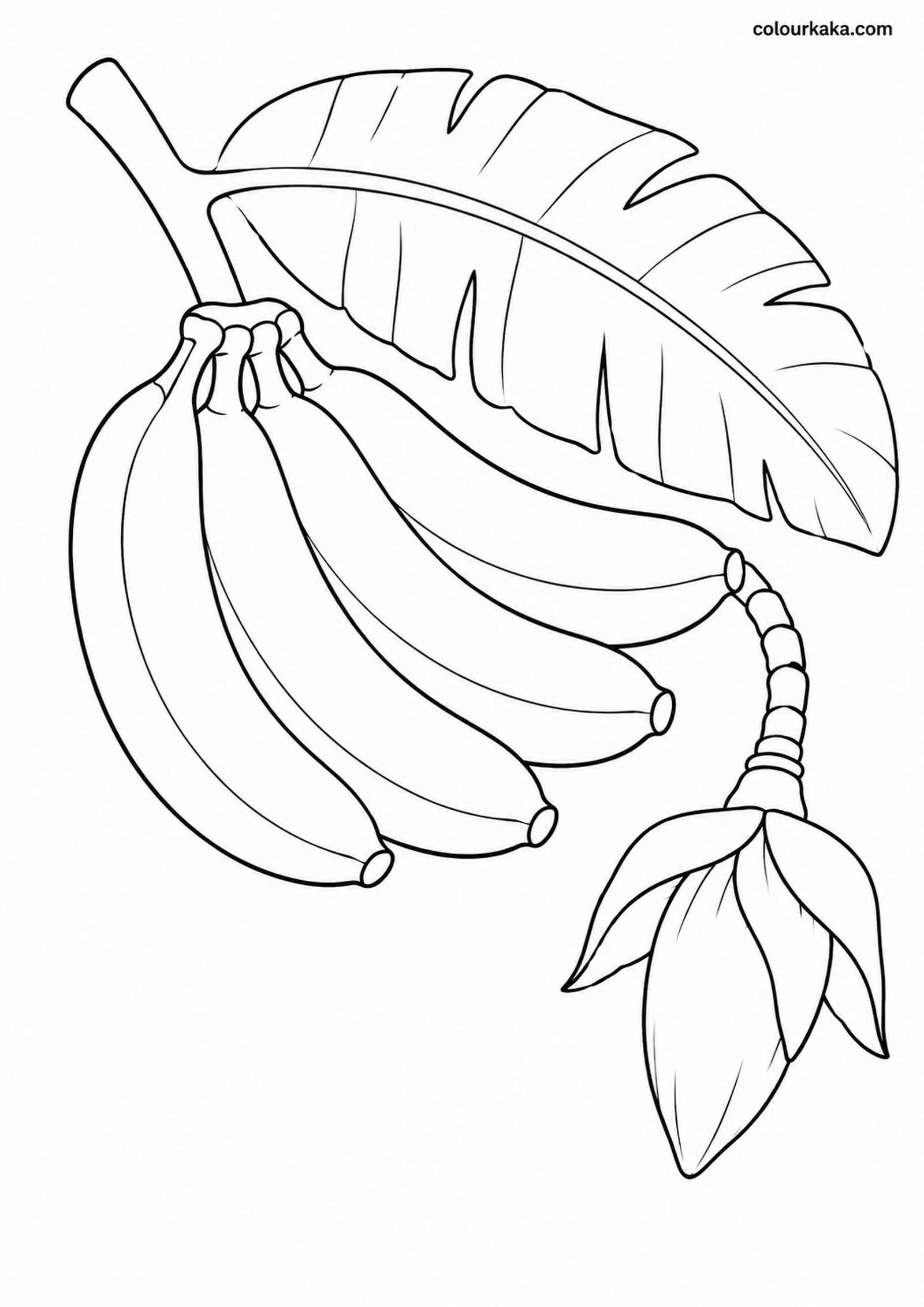 Banana Bunch Colouring Sheet colouring page preview