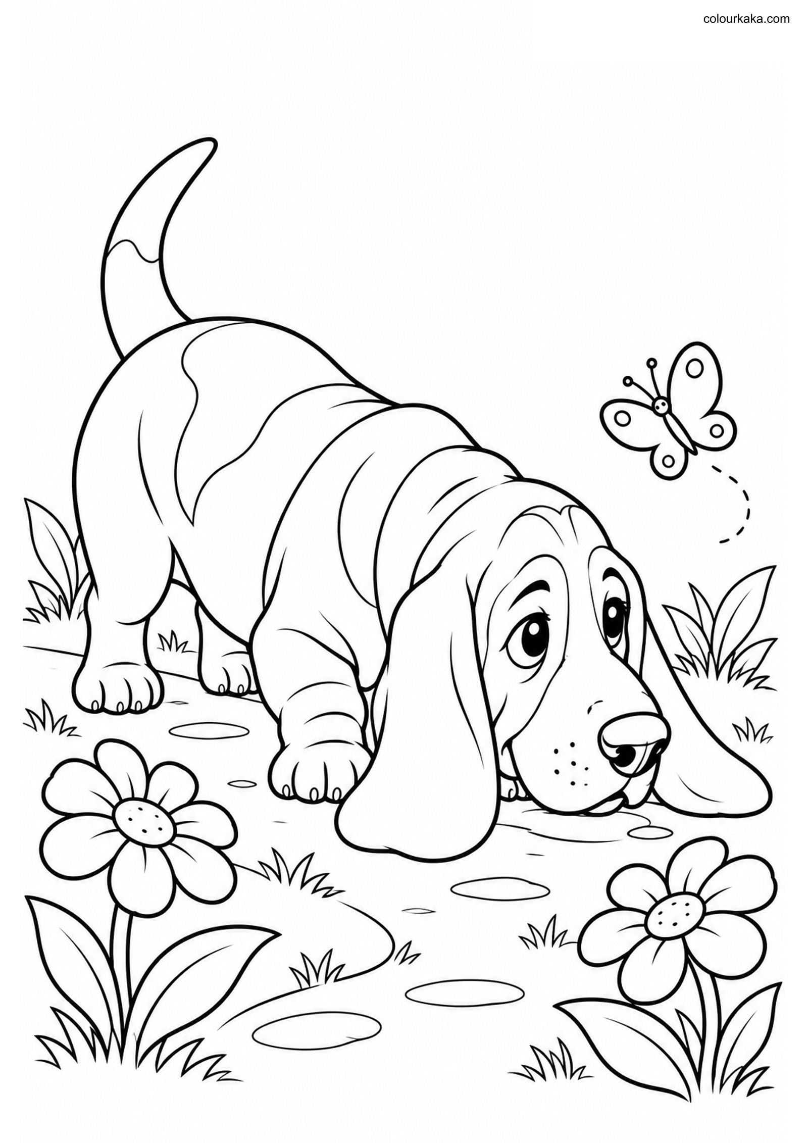 Basset Hound Colouring Sheet colouring page preview