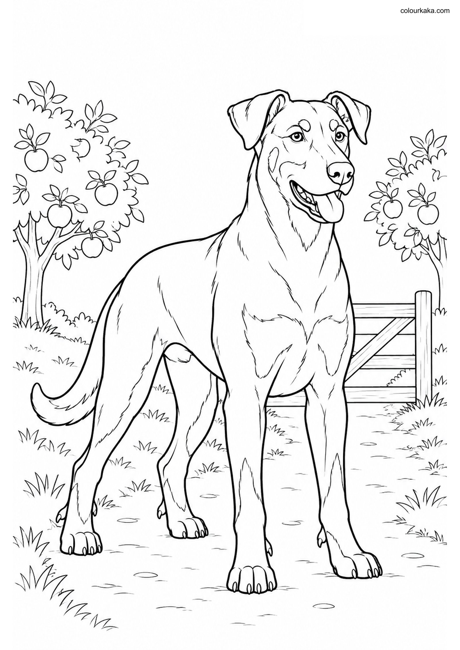 Beauceron Orchard Coloring colouring page preview