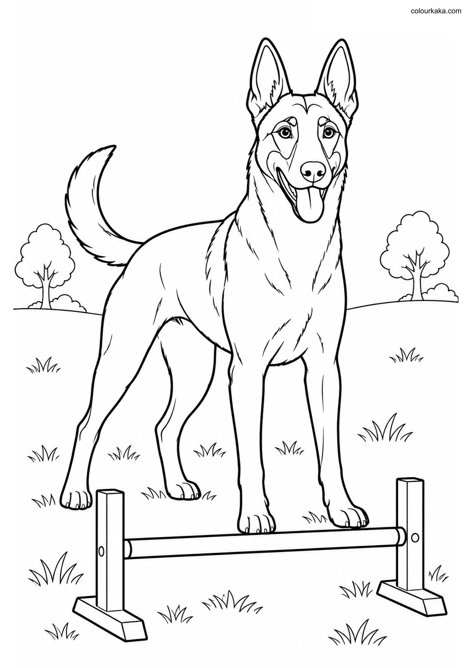 Belgian Malinois Colouring colouring page preview