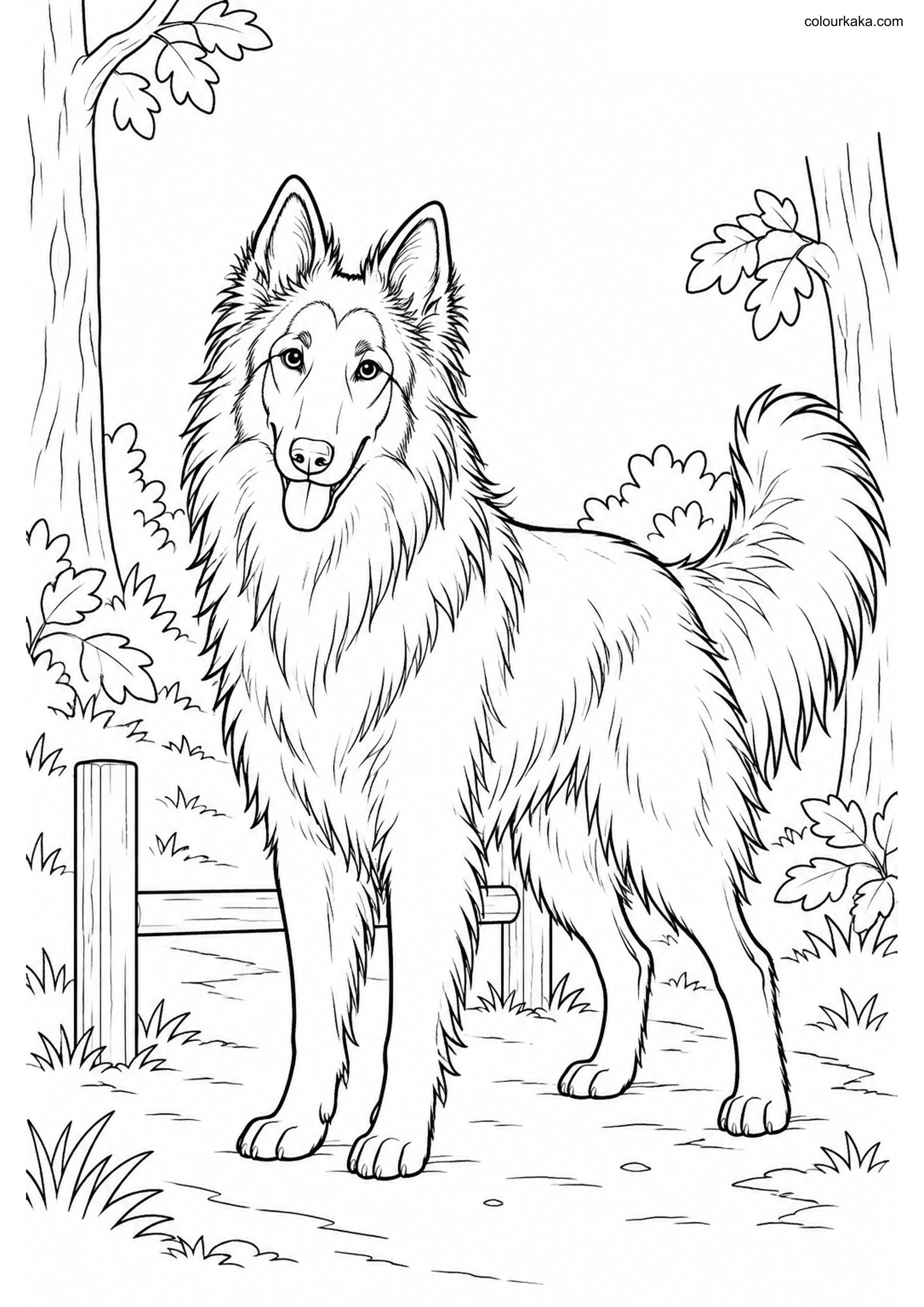 Belgian Tervuren Coloring Page colouring page preview