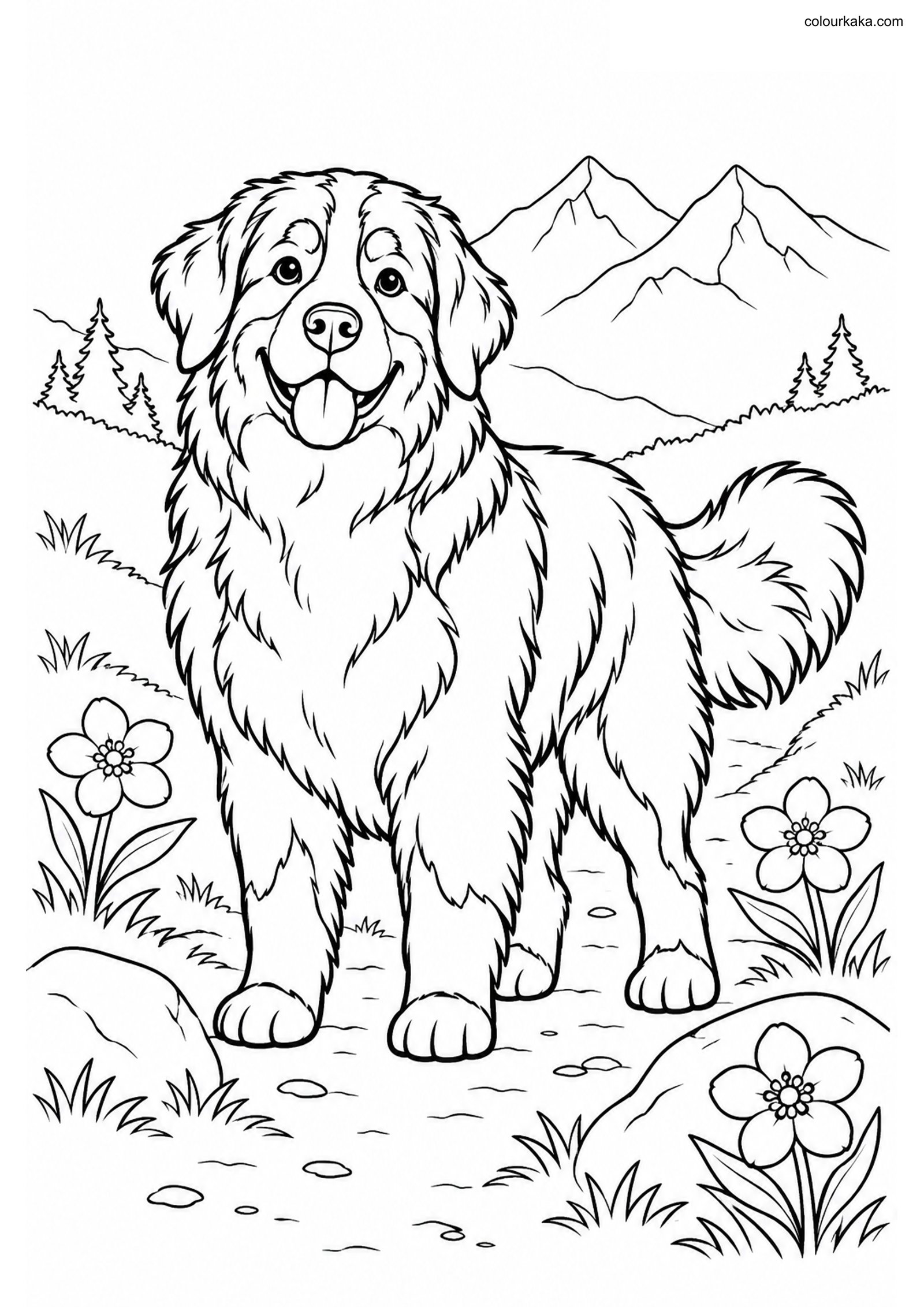 Bernese Mountain Dog Page colouring page preview