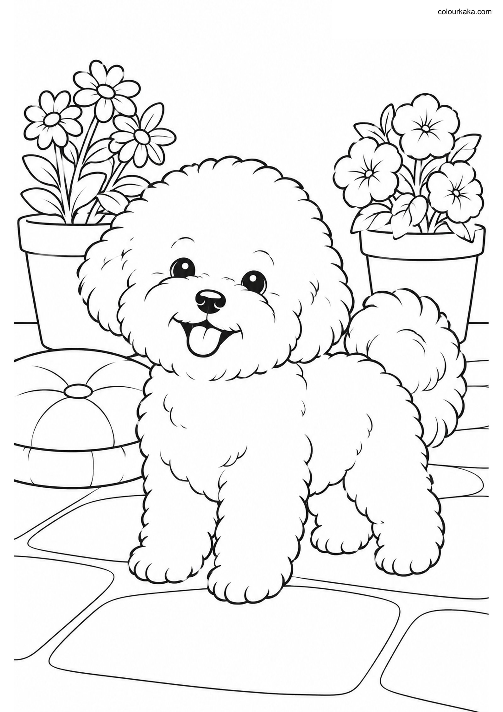 Bichon Frise Colouring Page colouring page preview