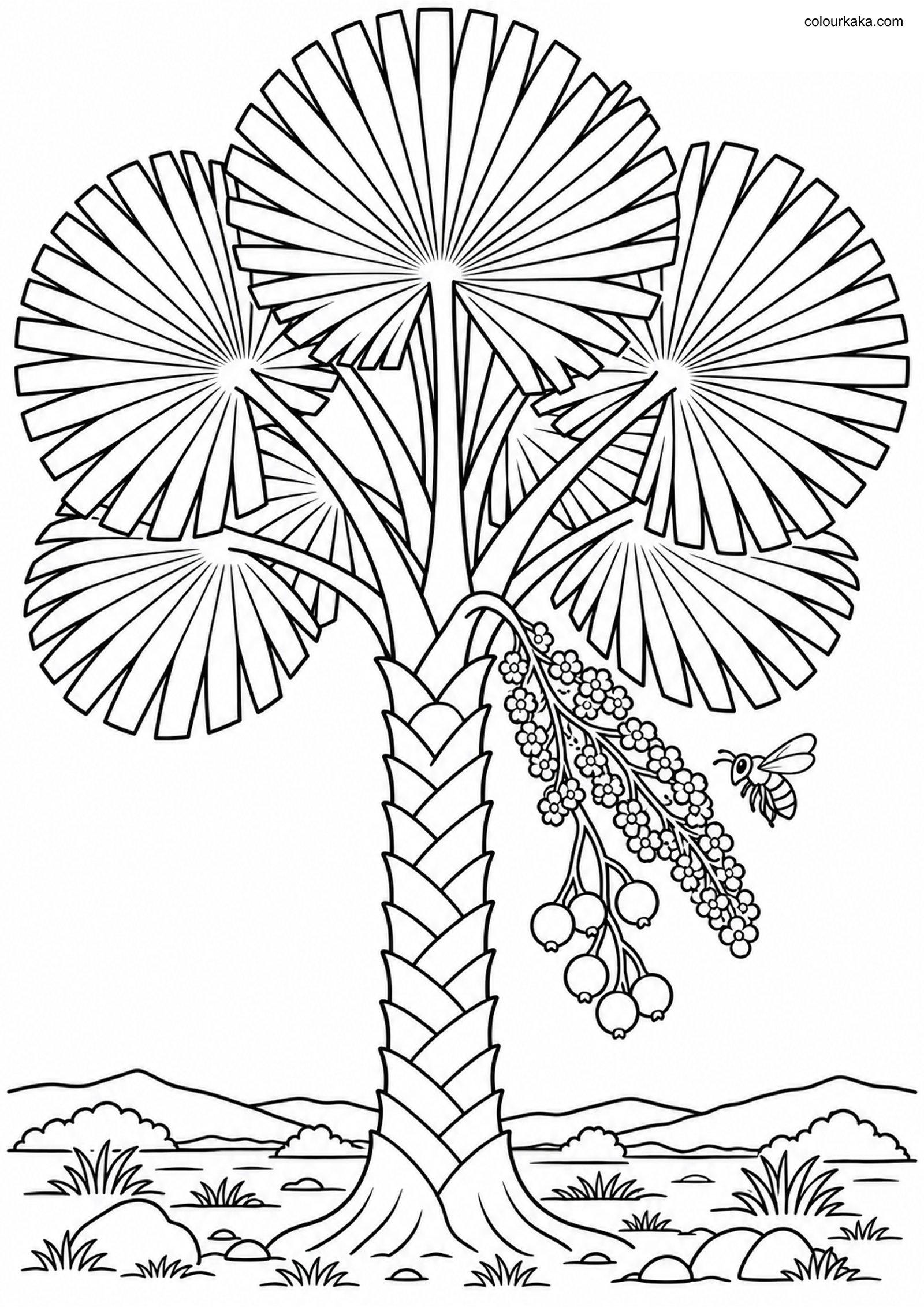 Bismarck Palm Colouring Page colouring page preview