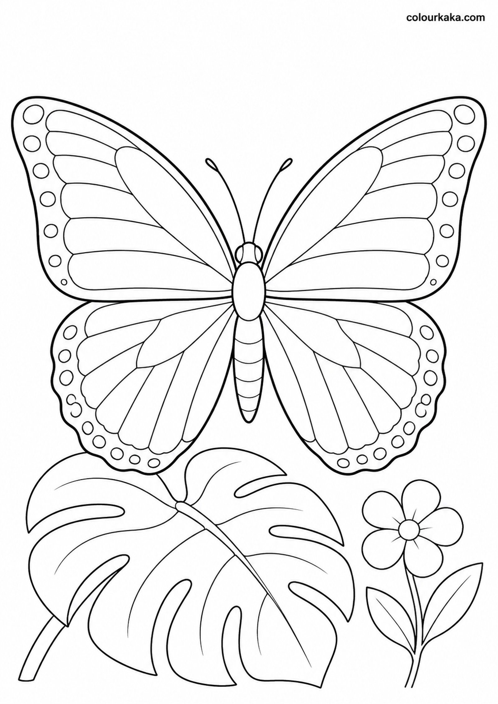 Blue Morpho Butterfly Colouring colouring page preview