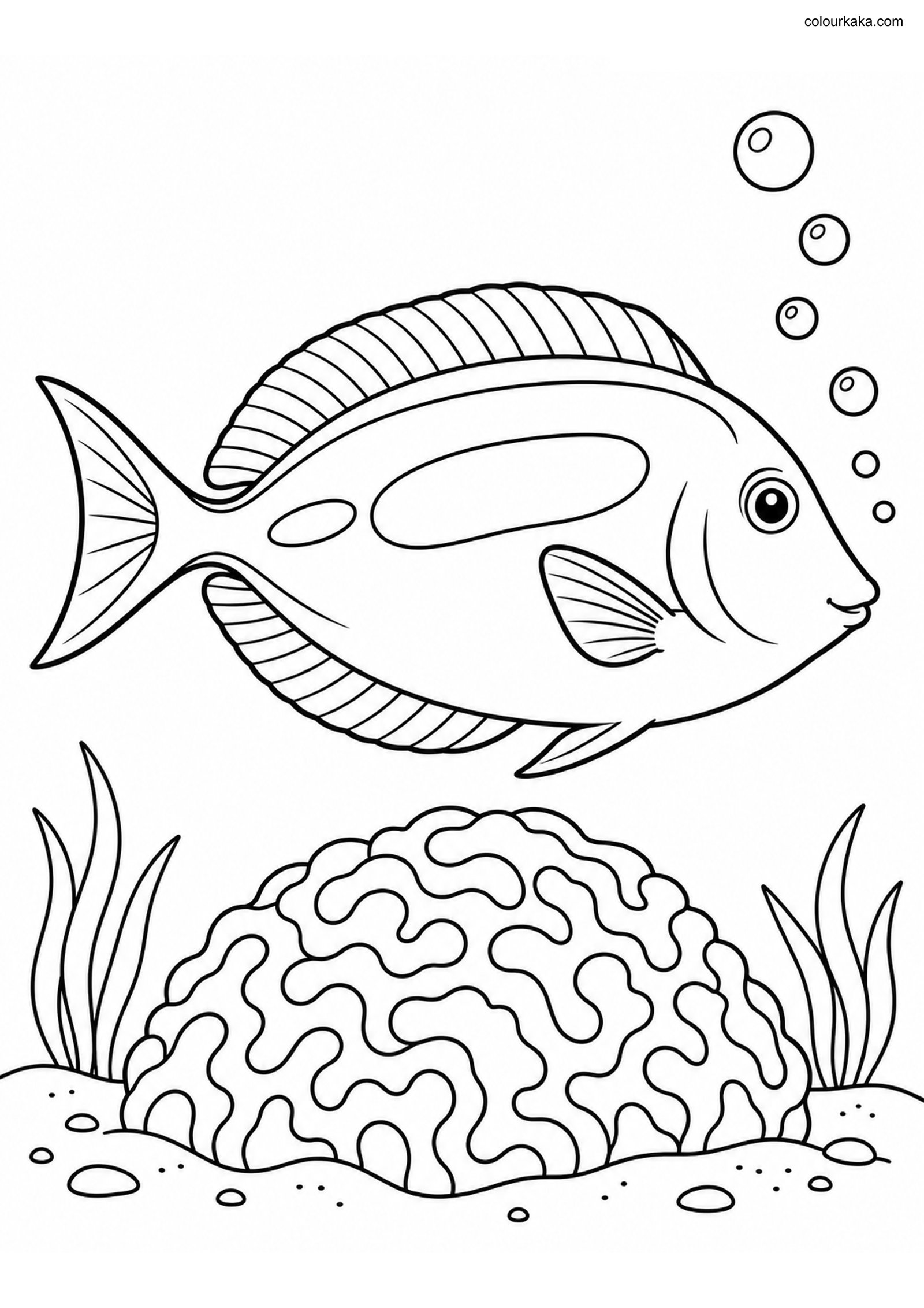 Blue Tang Colouring Page colouring page preview