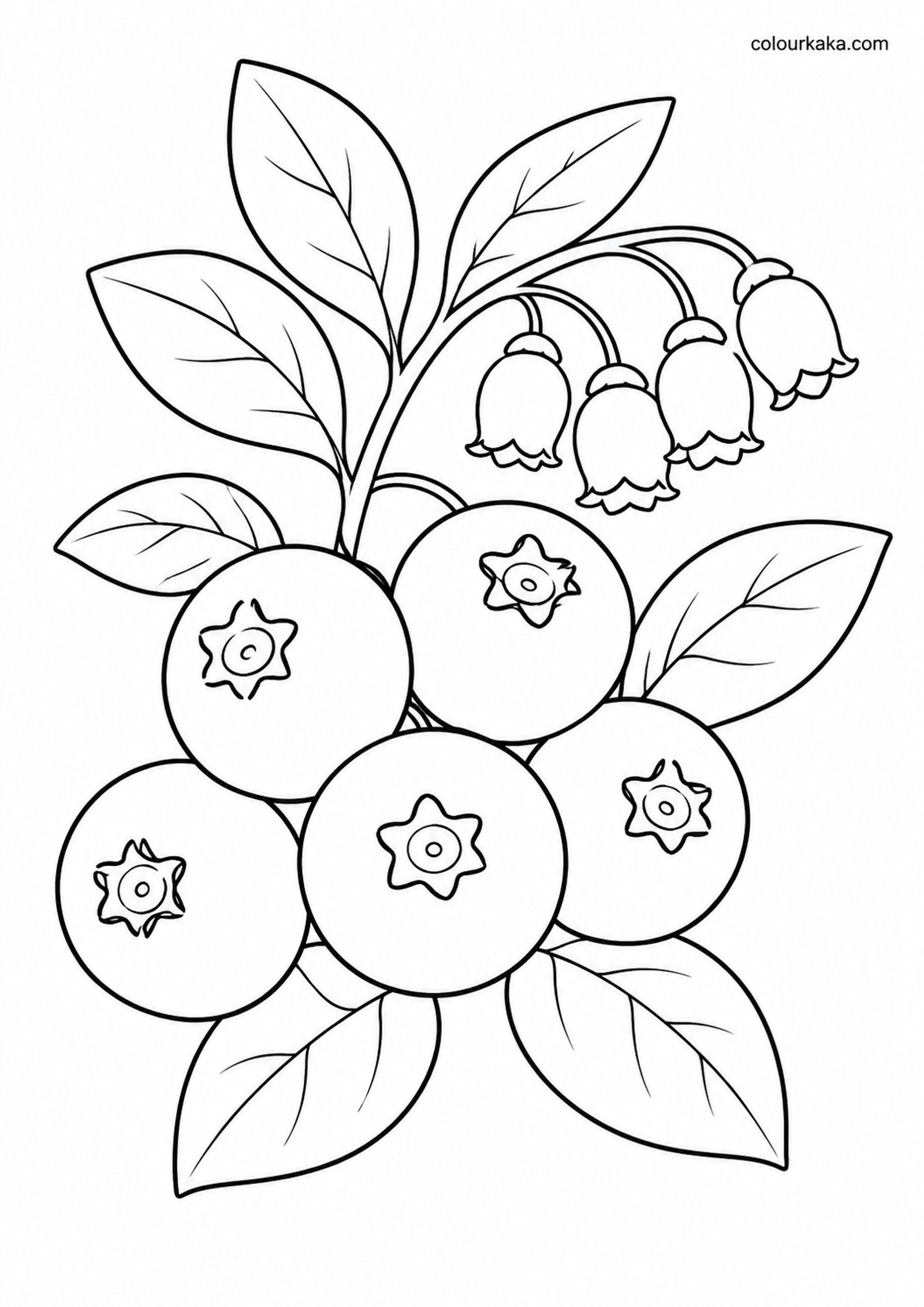 Blueberry Bush Colouring Page colouring page preview