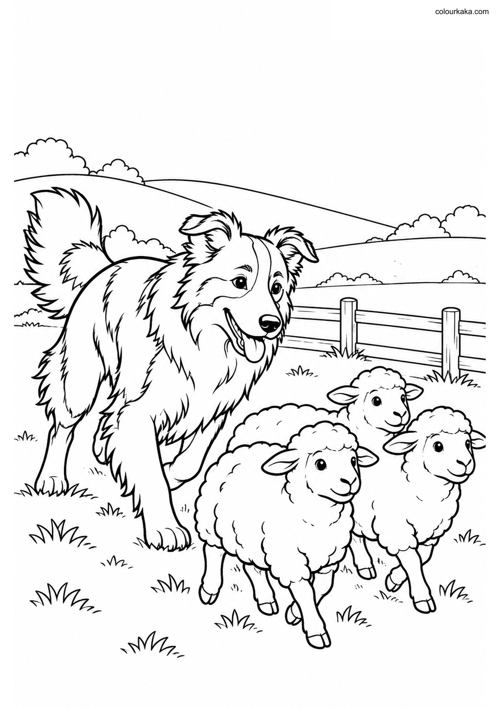 Border Collie Farm Colouring colouring page preview