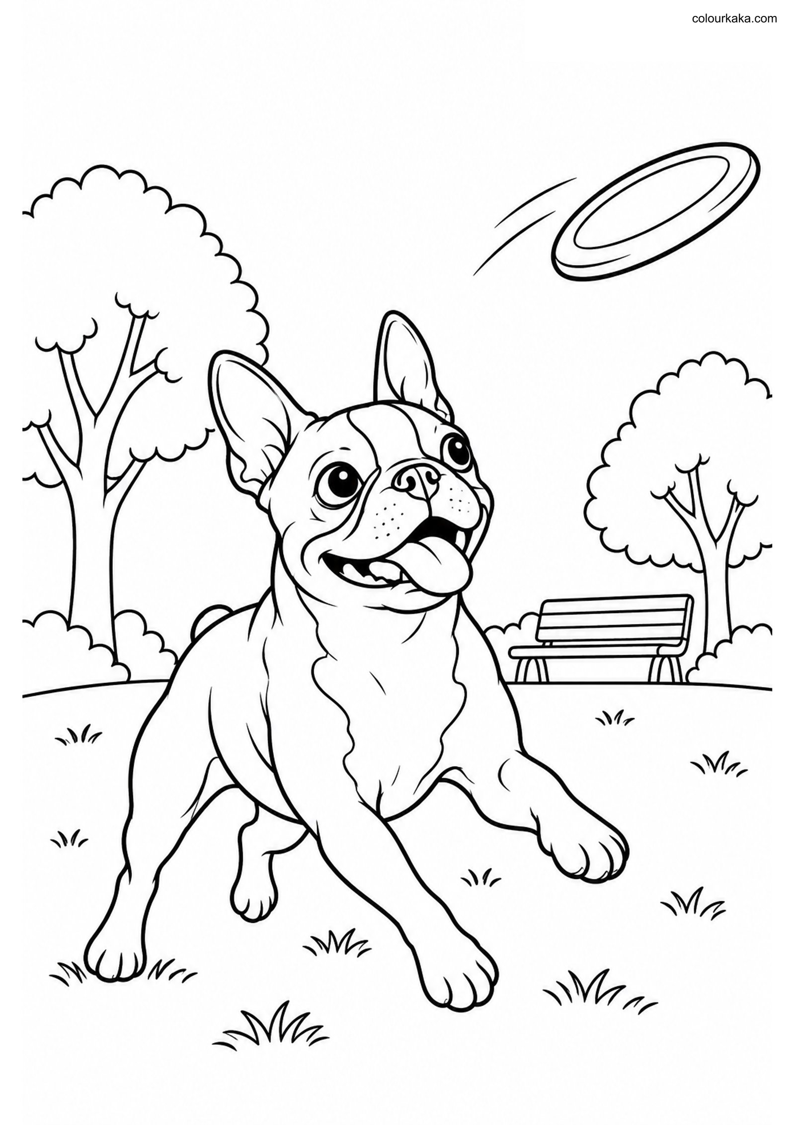 Boston Terrier Colouring Page colouring page preview