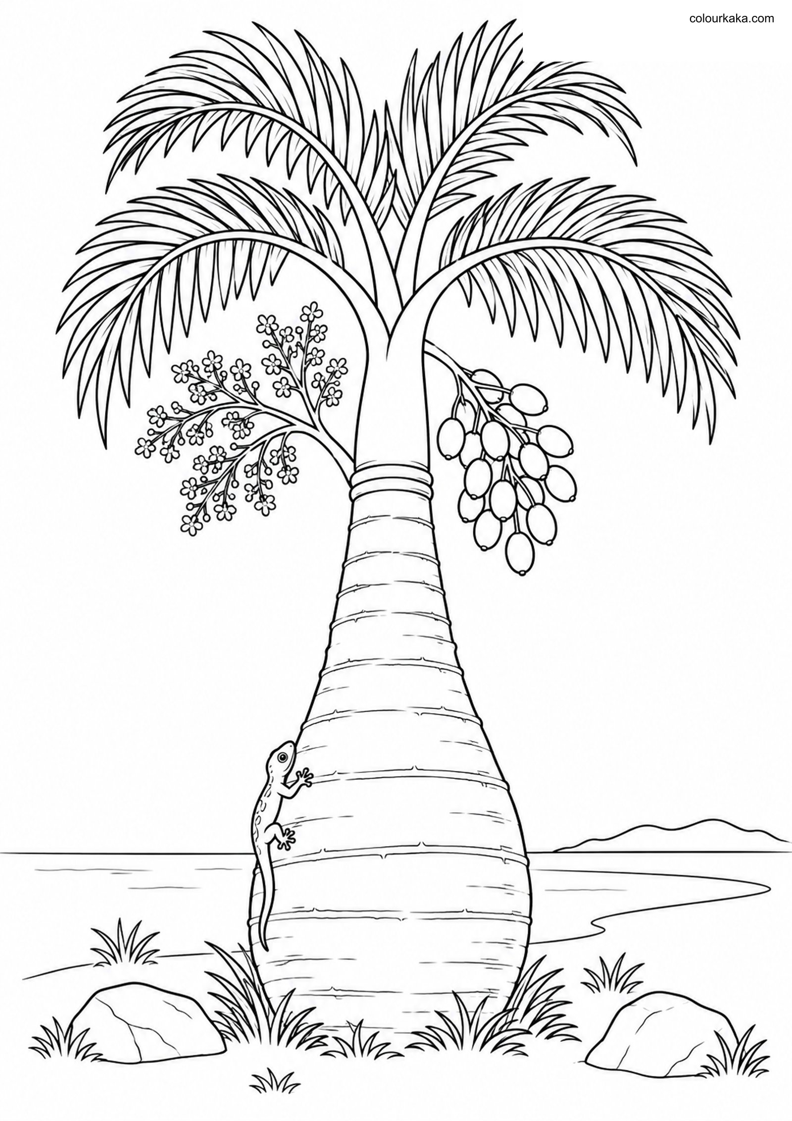 Bottle Palm Island Colouring colouring page preview