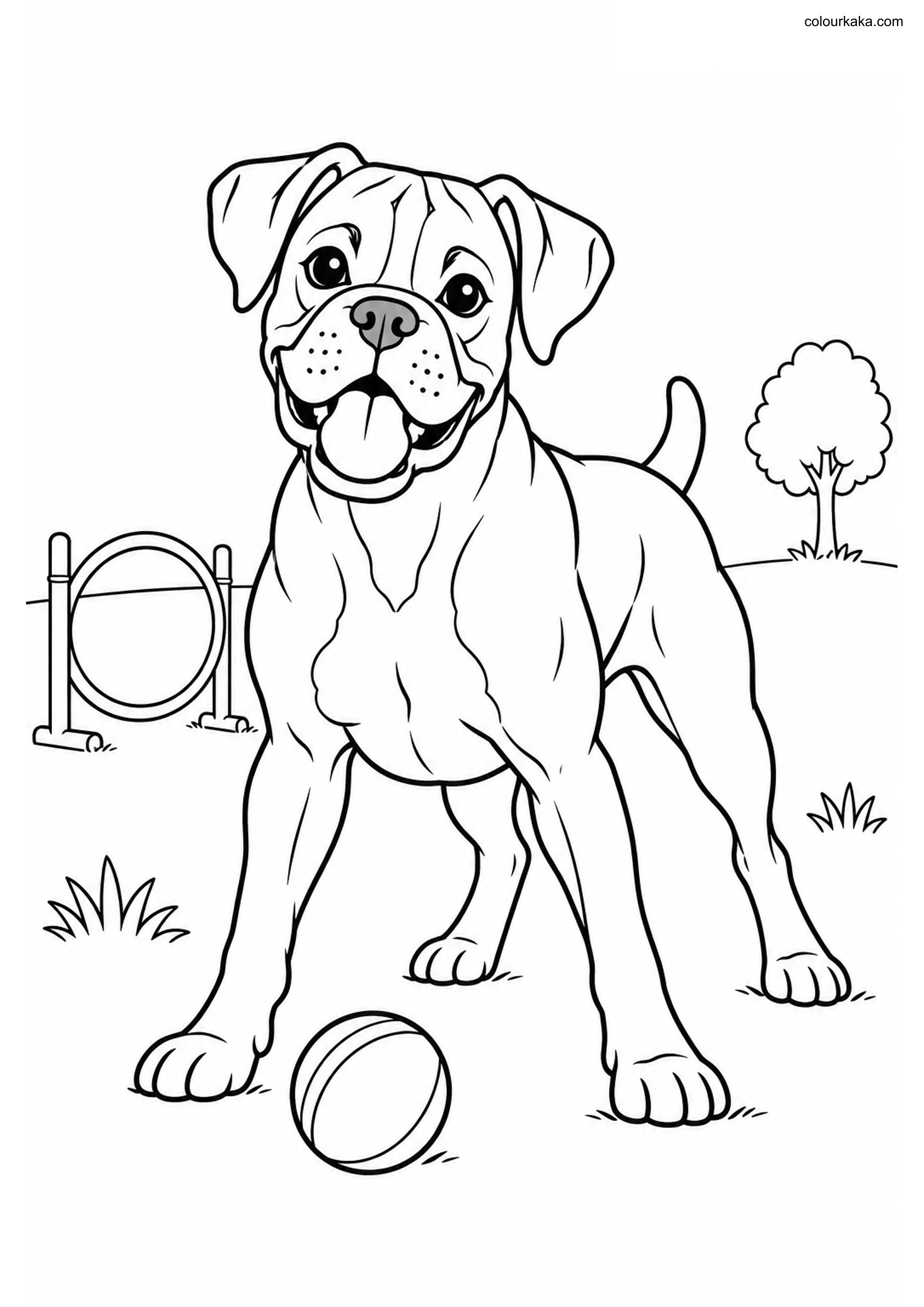 Boxer Puppy Colouring Sheet colouring page preview