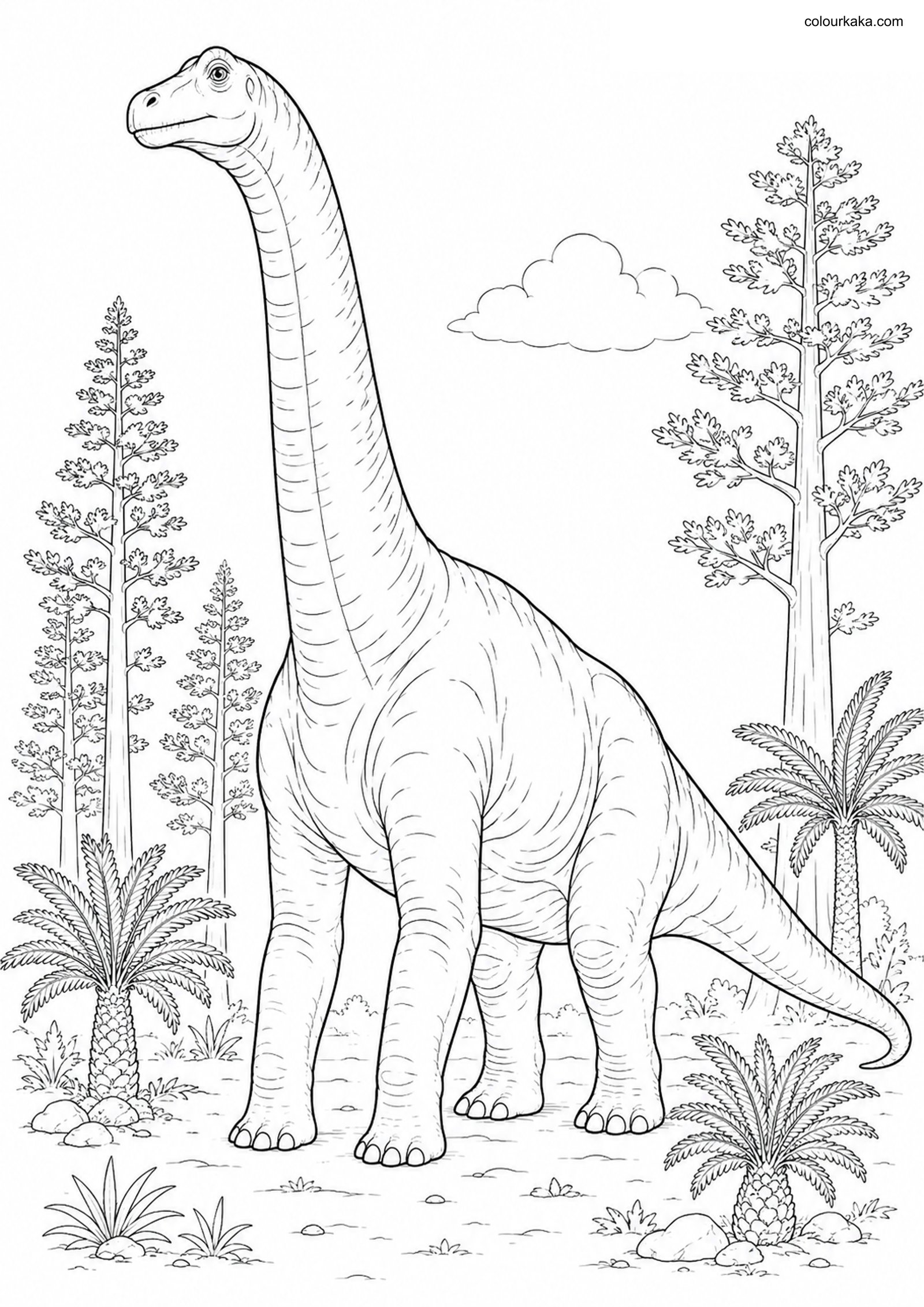 Brachiosaurus Colouring Page colouring page preview