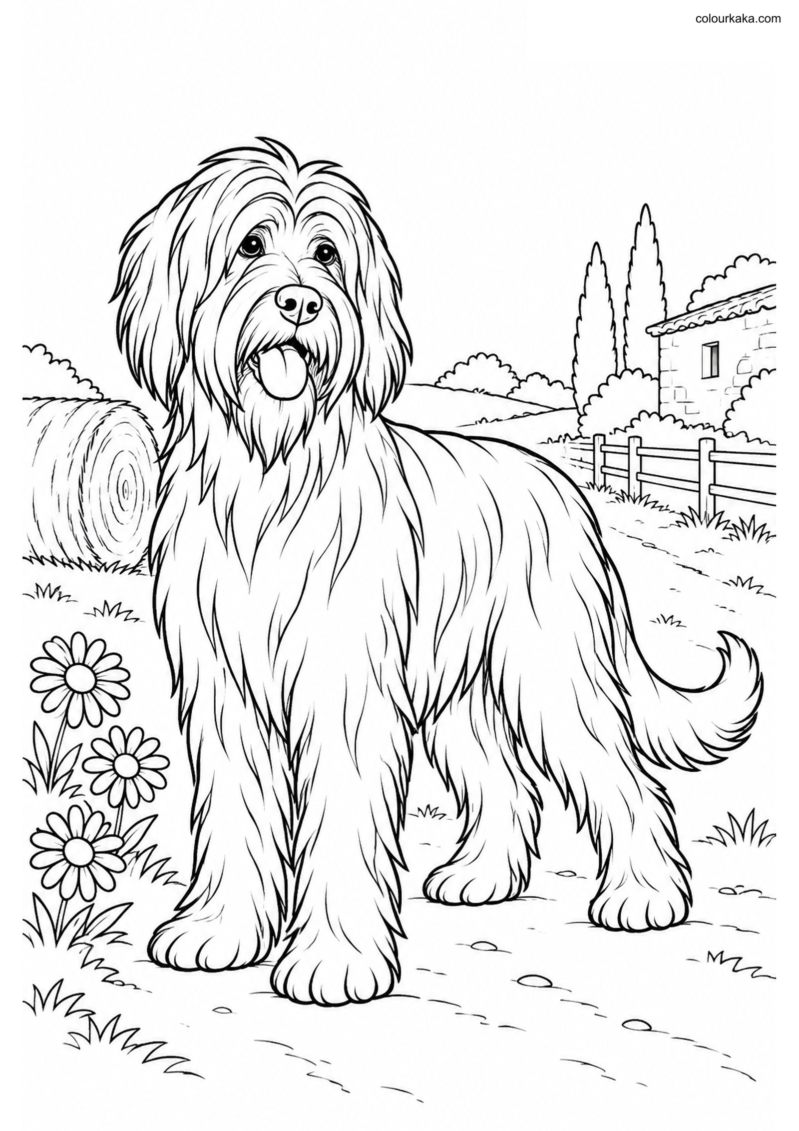 Briard Farm Coloring Page colouring page preview