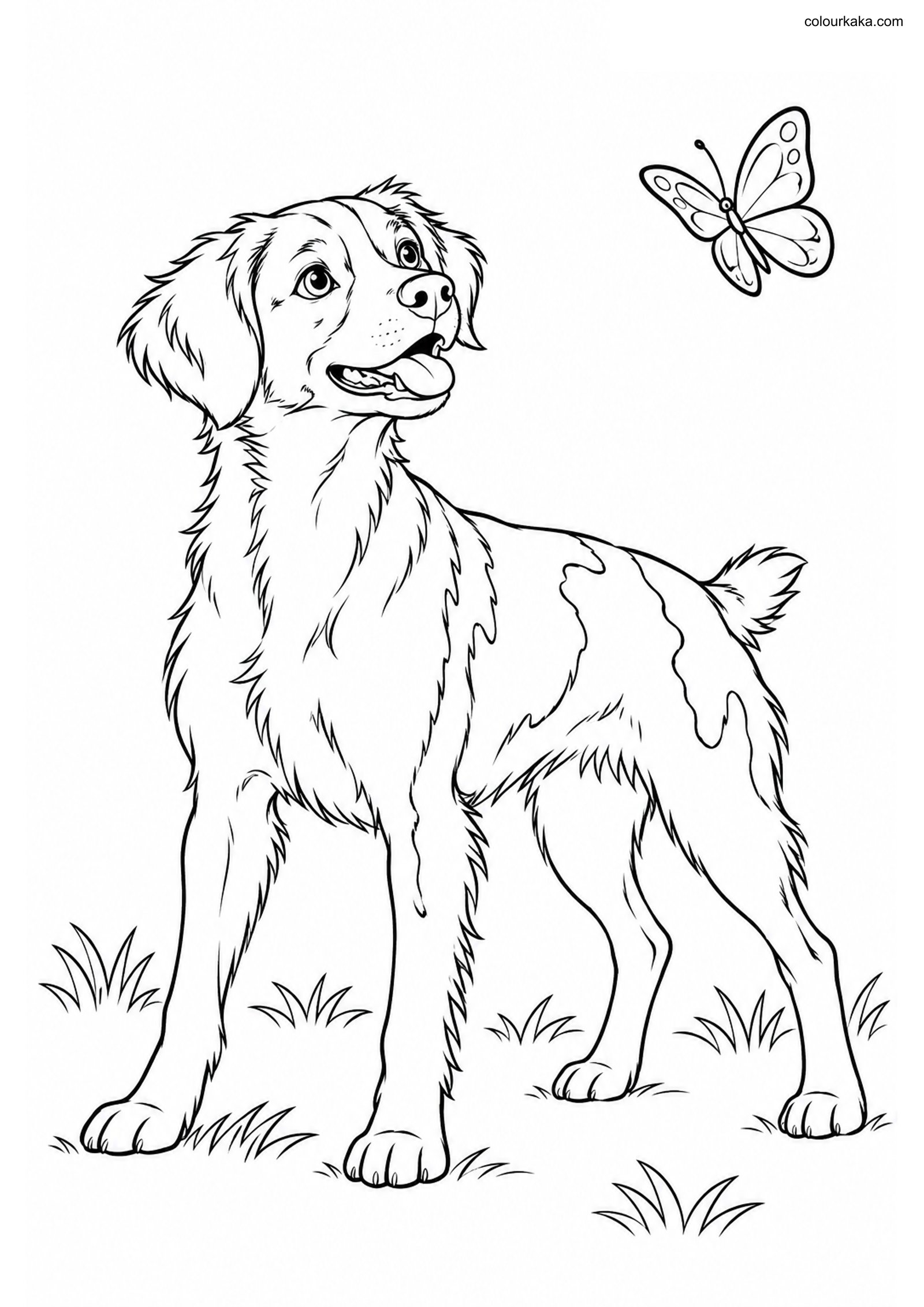 Brittany Dog Coloring Page colouring page preview