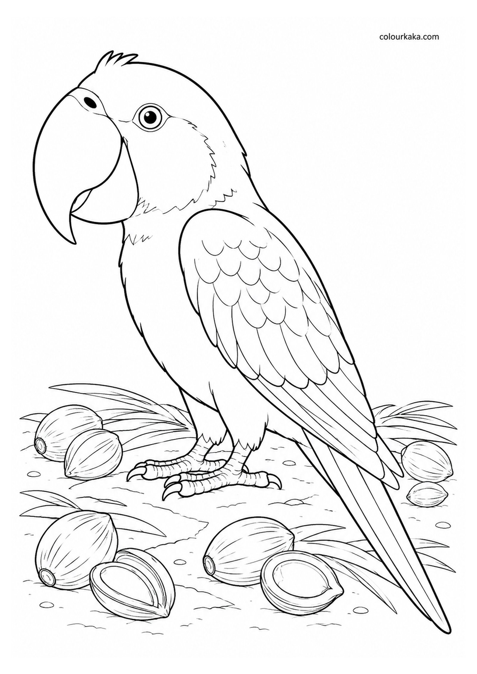 Broad-billed Parrot Colouring Page colouring page preview