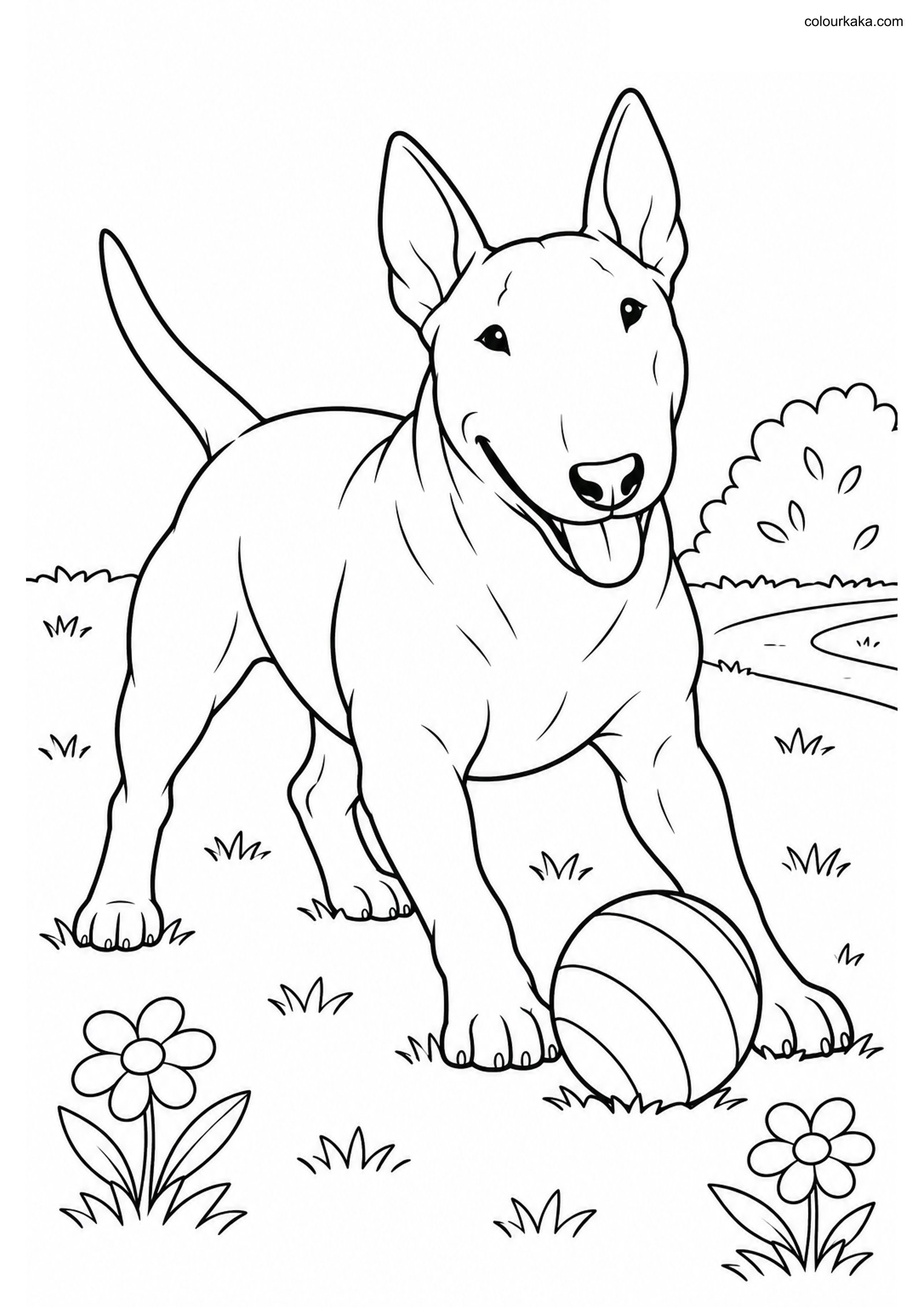 Bull Terrier Colouring Page colouring page preview
