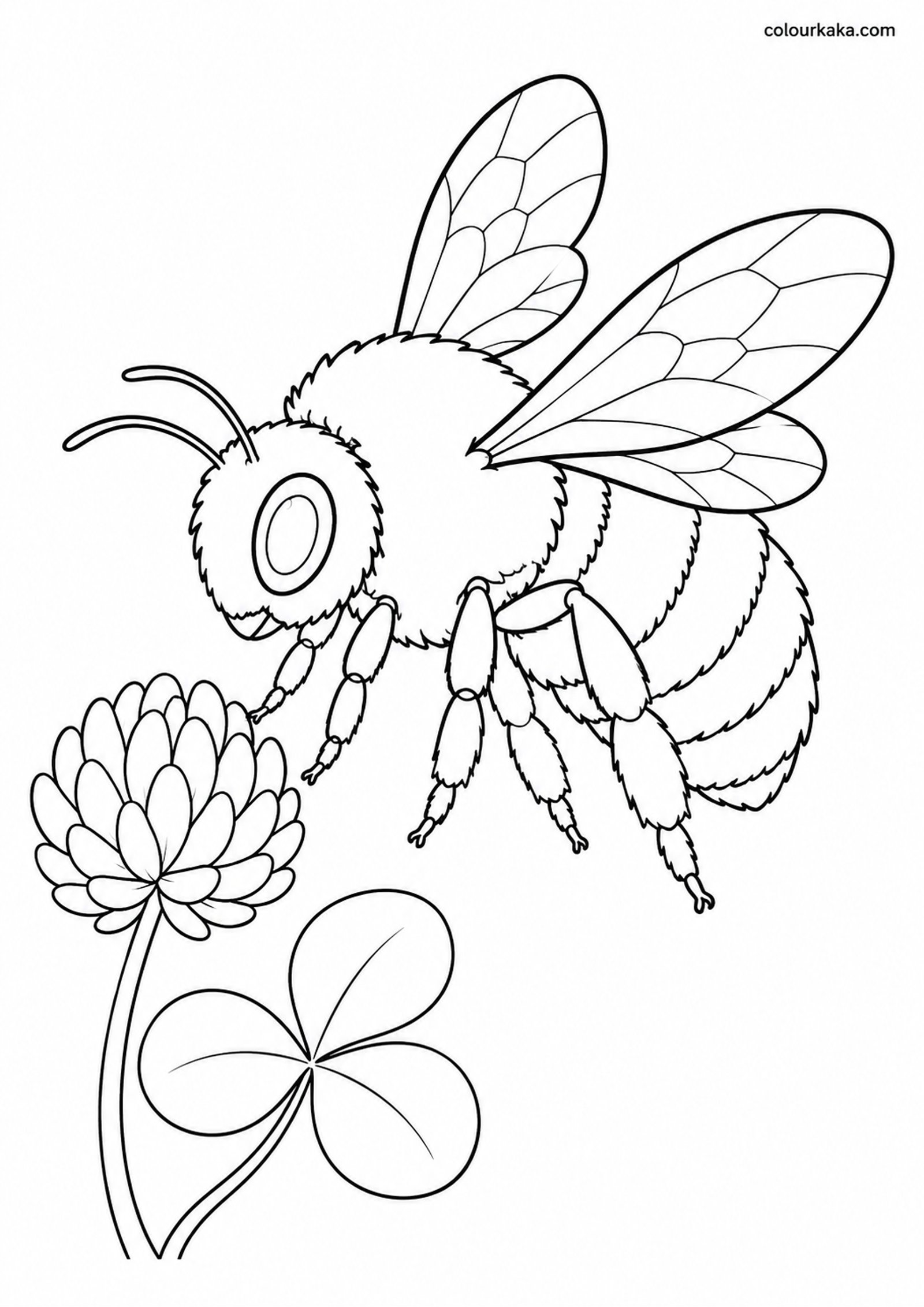 Bumblebee Meadow Colouring colouring page preview