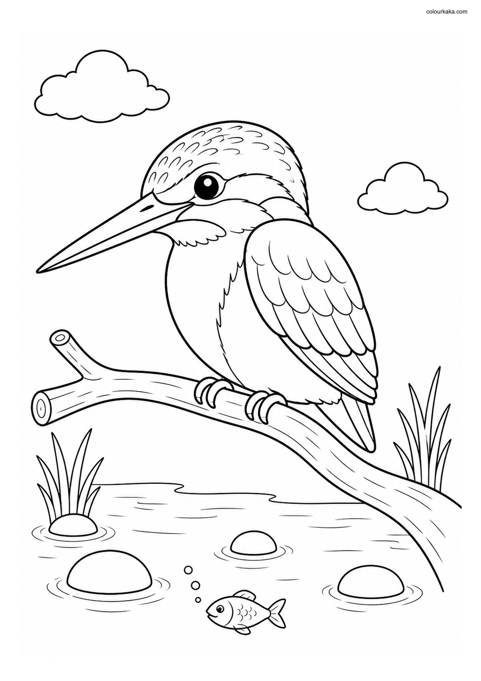 Cute Kingfisher colouring page preview