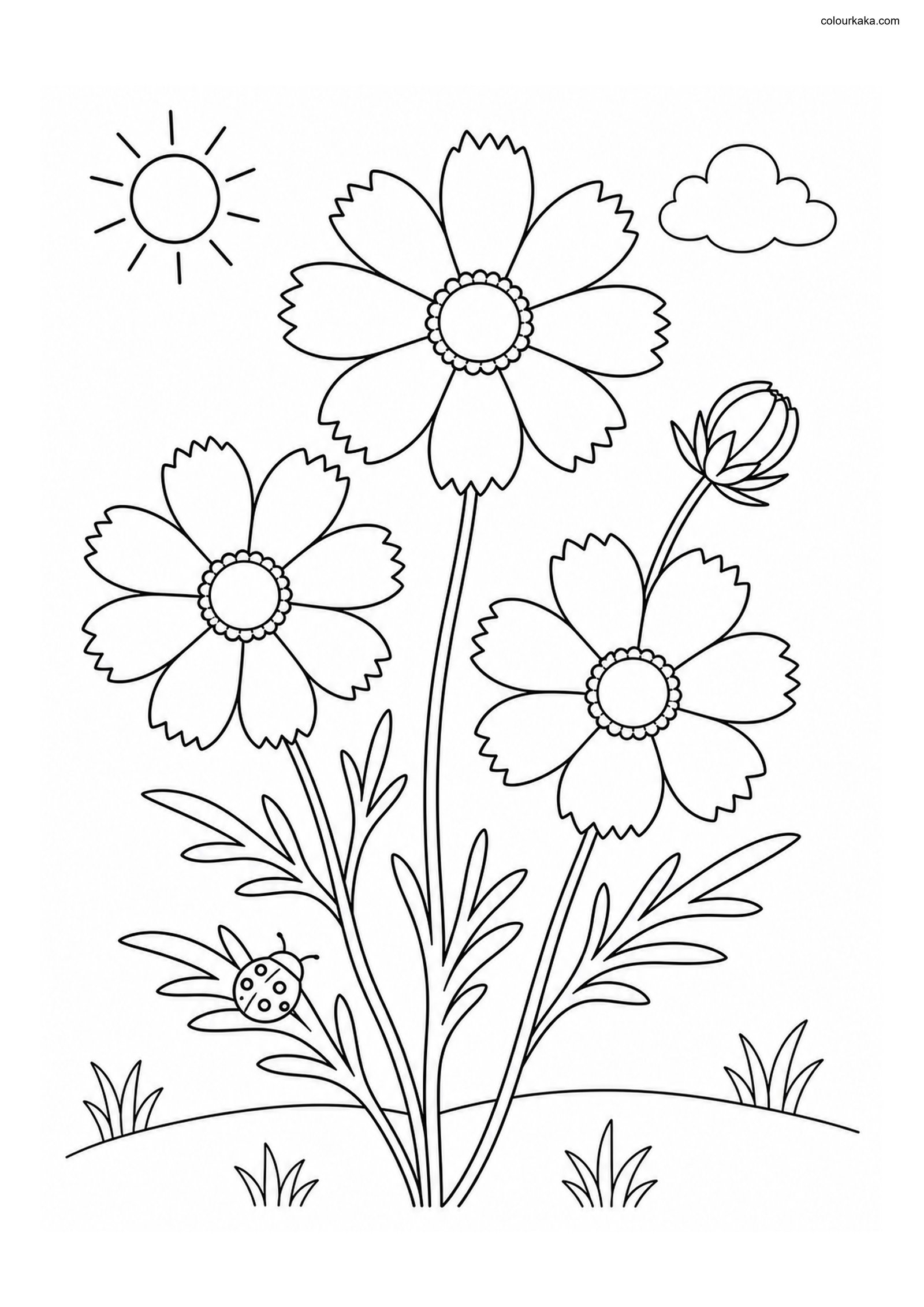 Coreopsis Garden Colouring colouring page preview