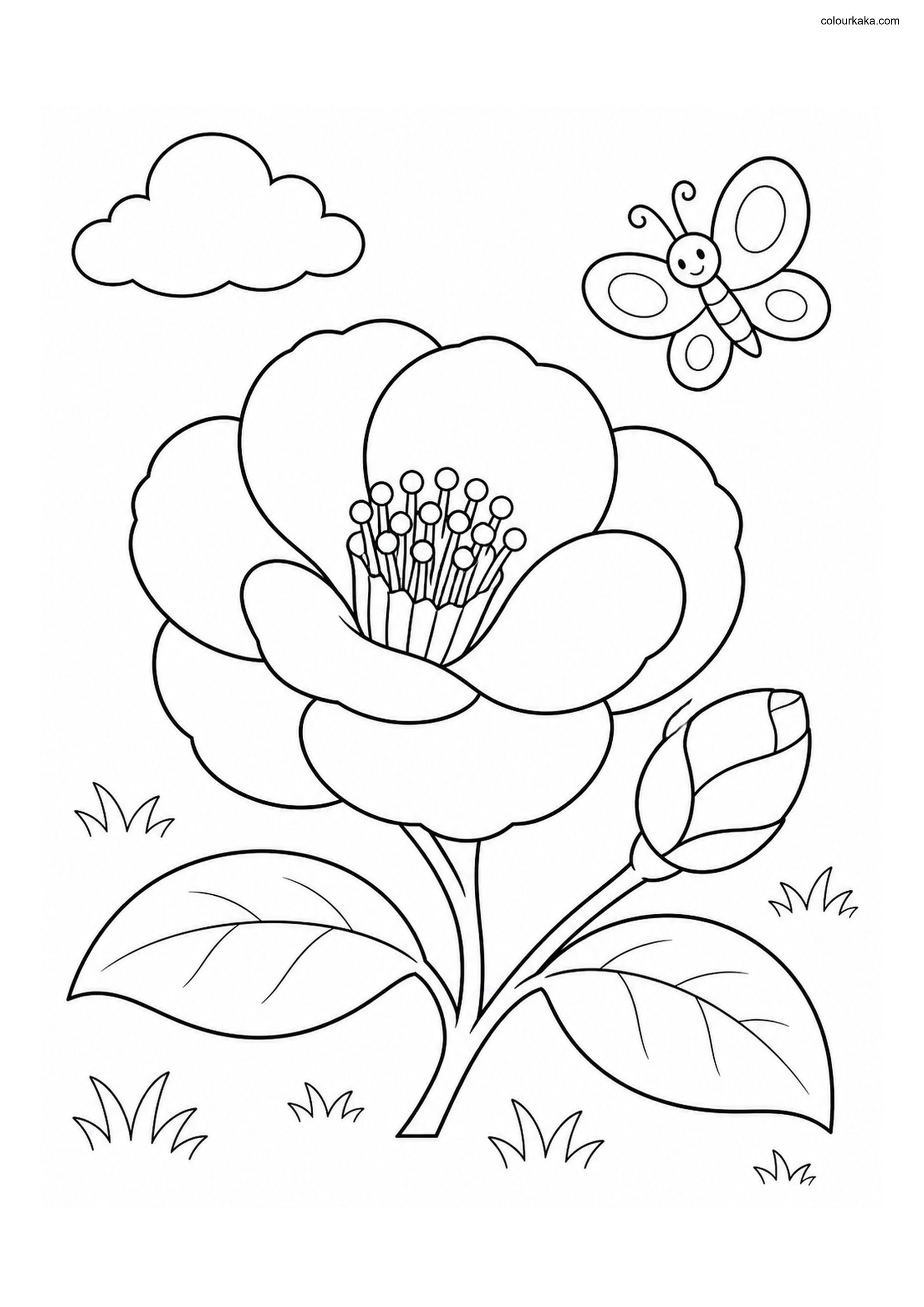 Camellia Blossom Colouring colouring page preview
