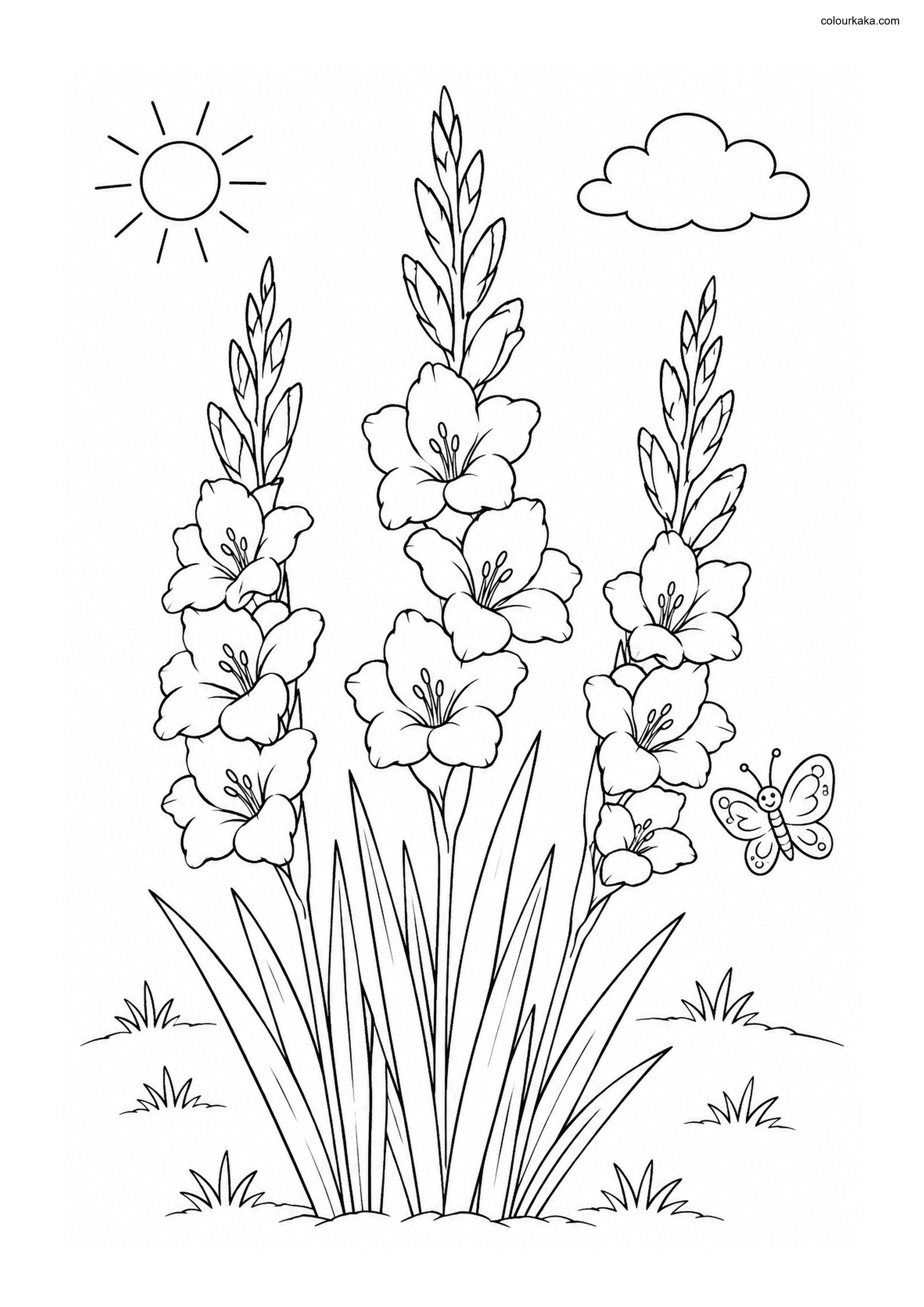 Gladiolus Garden Colouring colouring page preview
