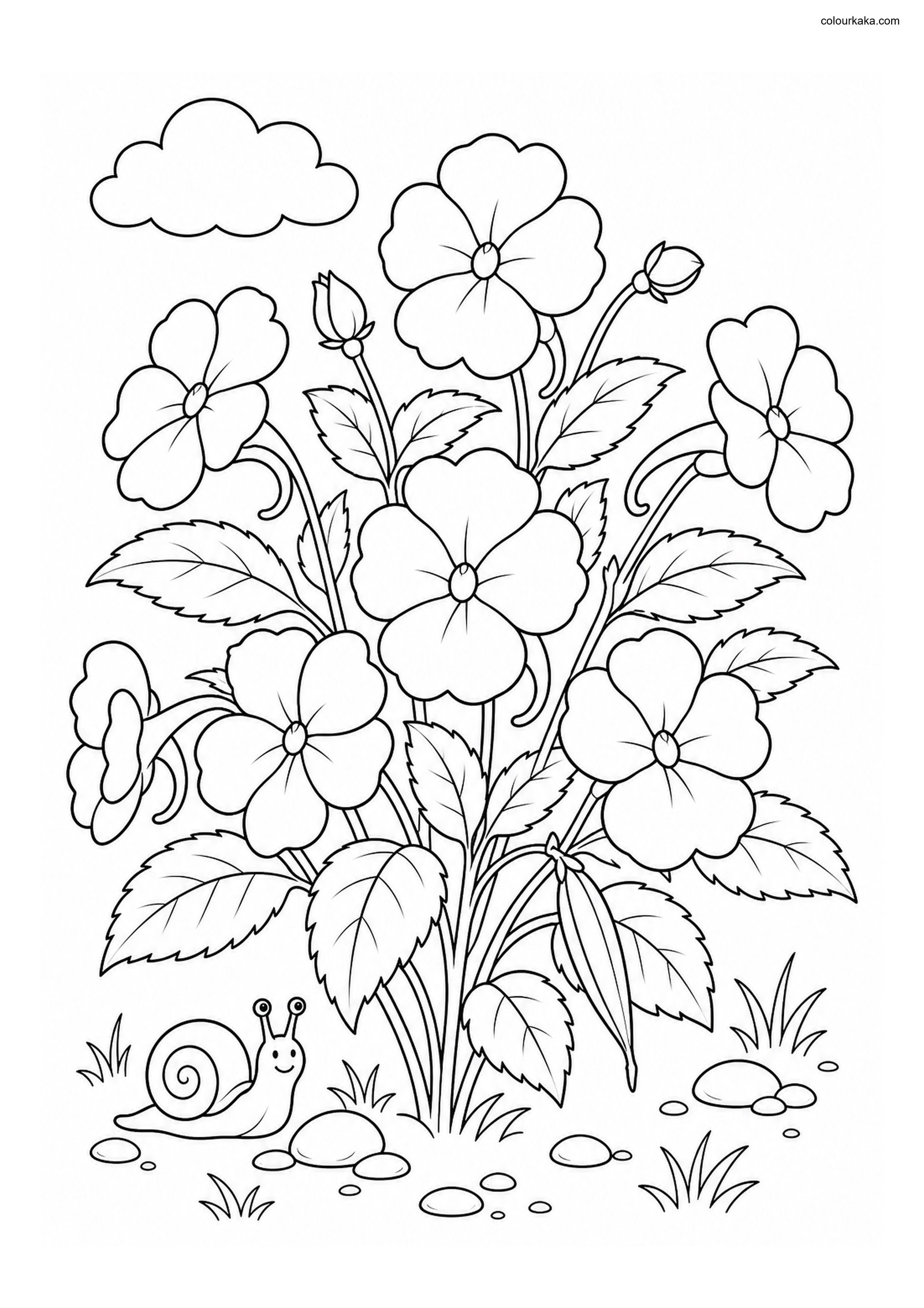 Impatiens Garden Colouring Page colouring page preview