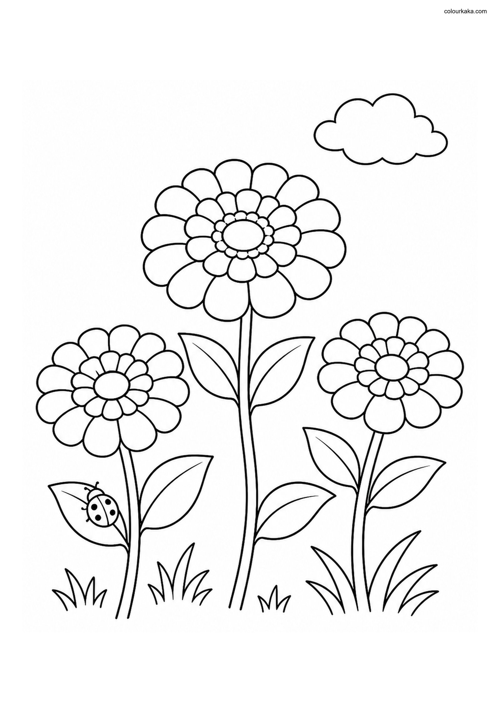 Zinnia Garden Colouring Sheet colouring page preview