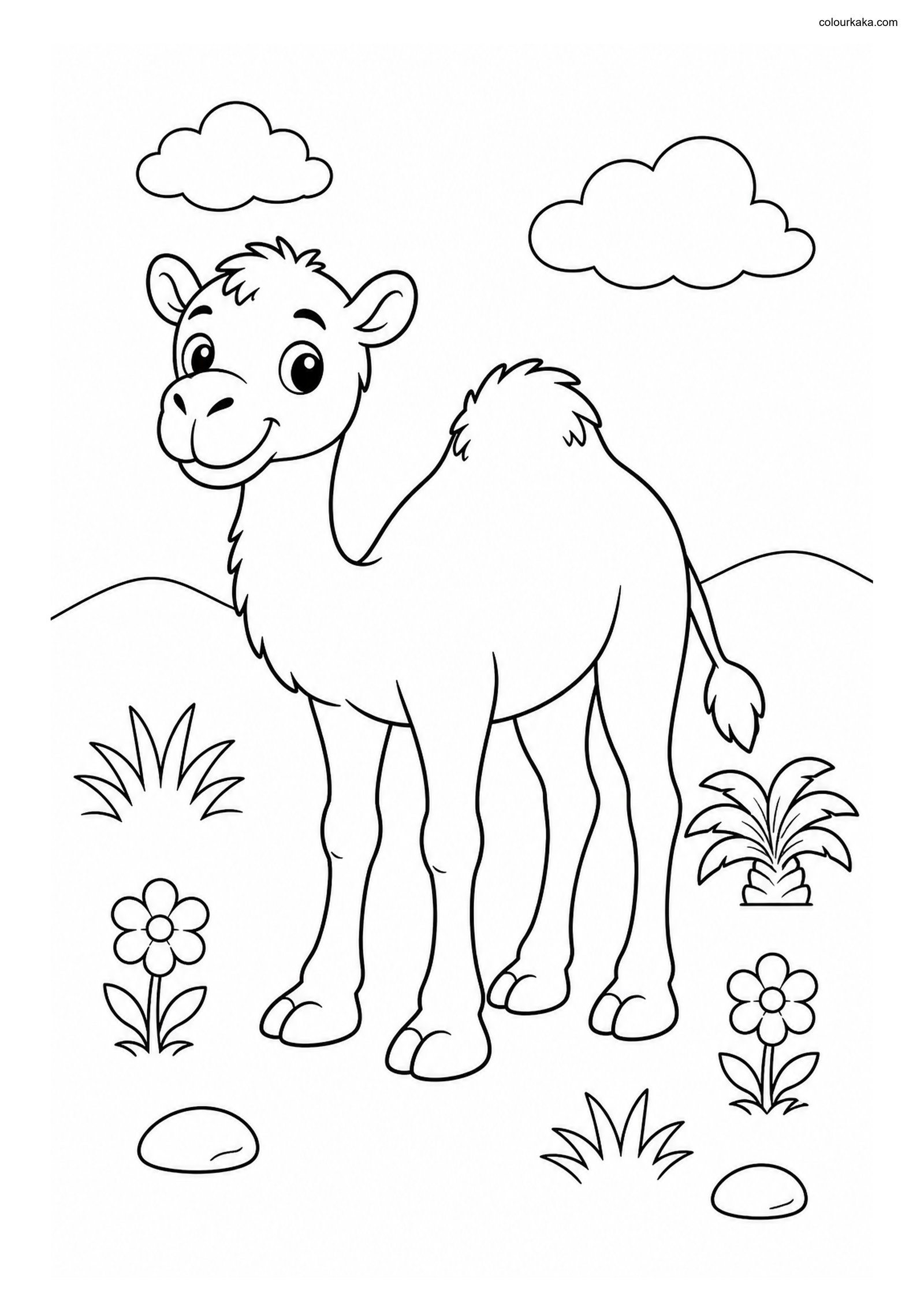 Cute Camel colouring page preview
