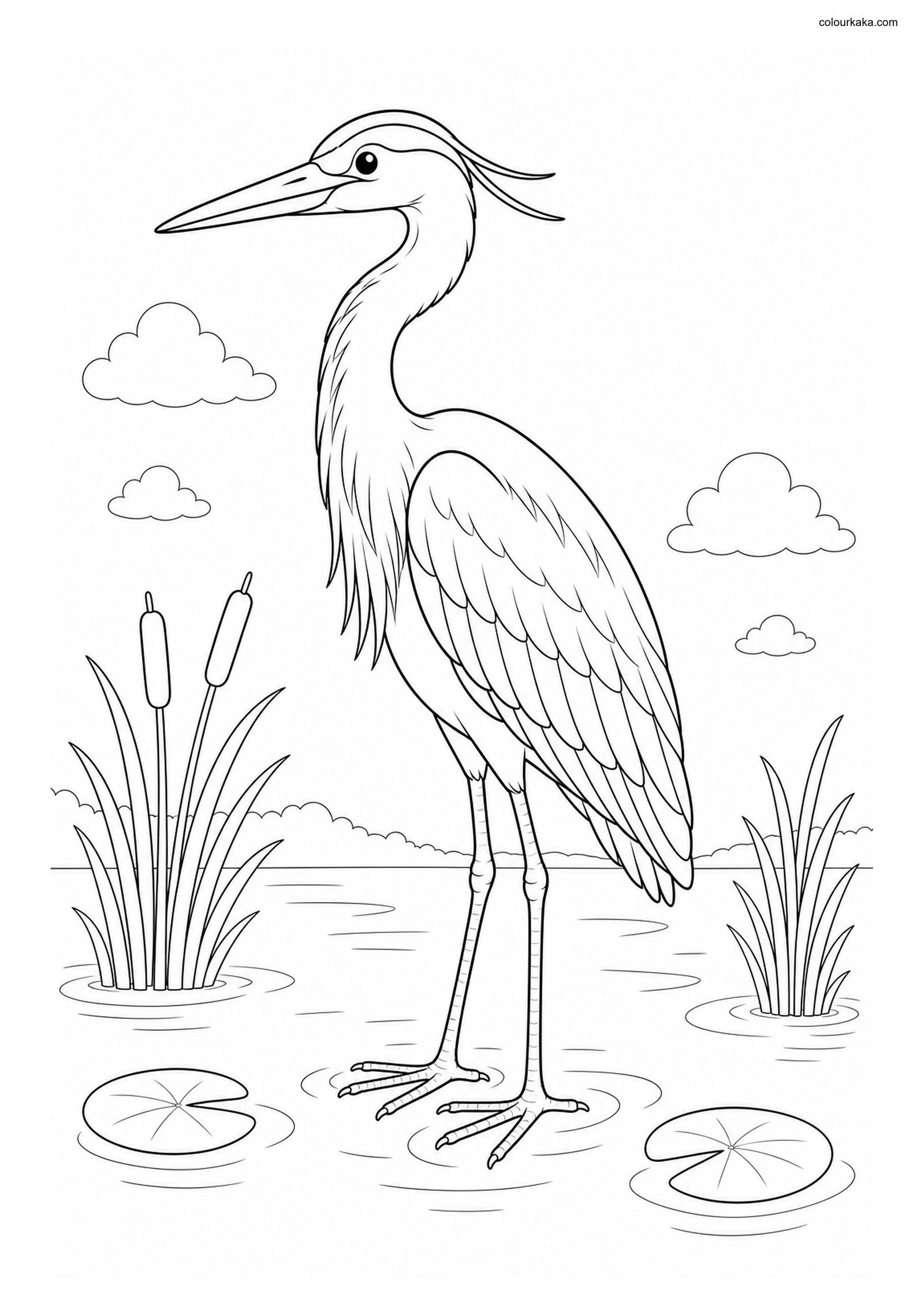 Great Blue Heron Colouring Fun colouring page preview
