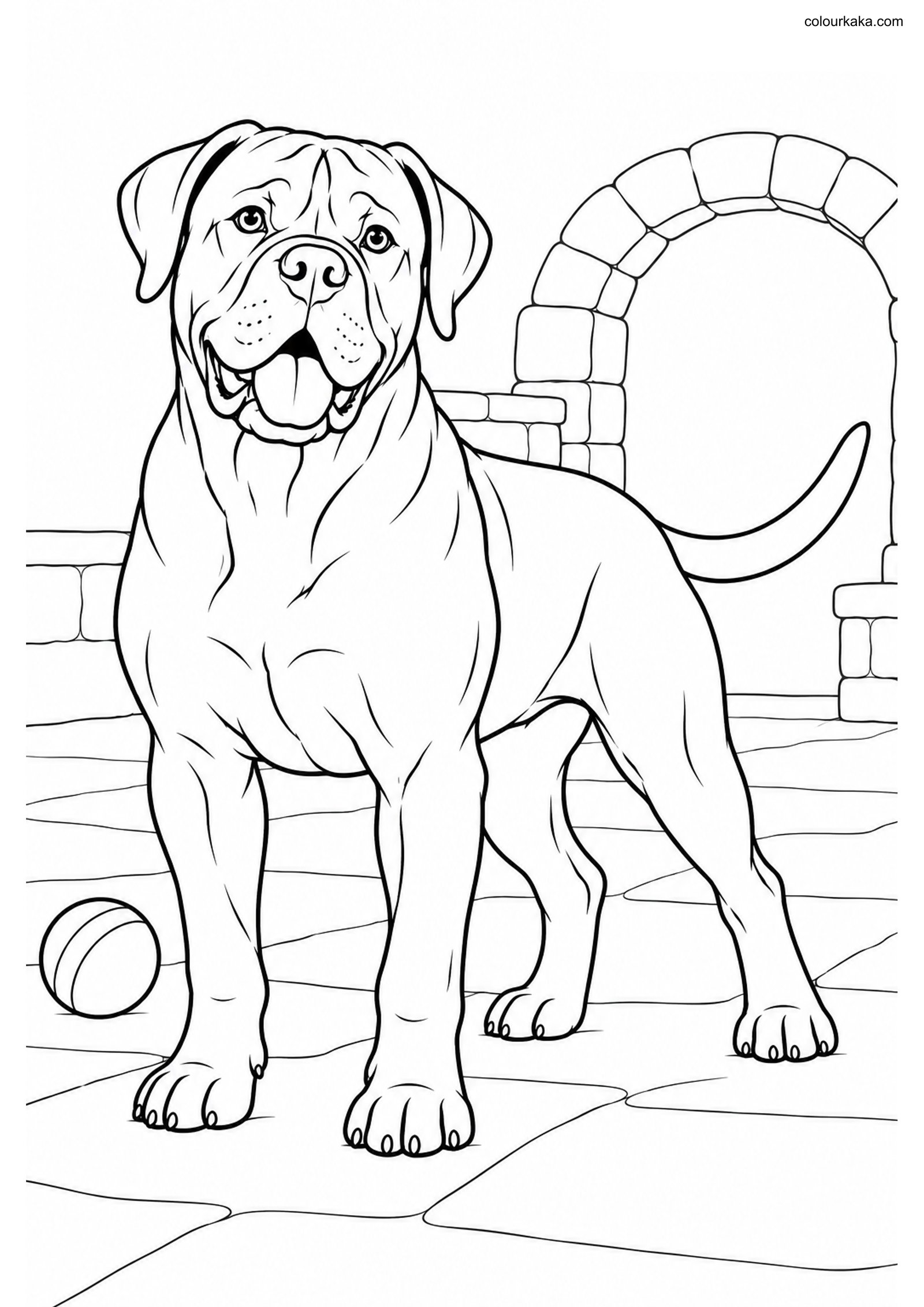 Cane Corso Colouring Page colouring page preview
