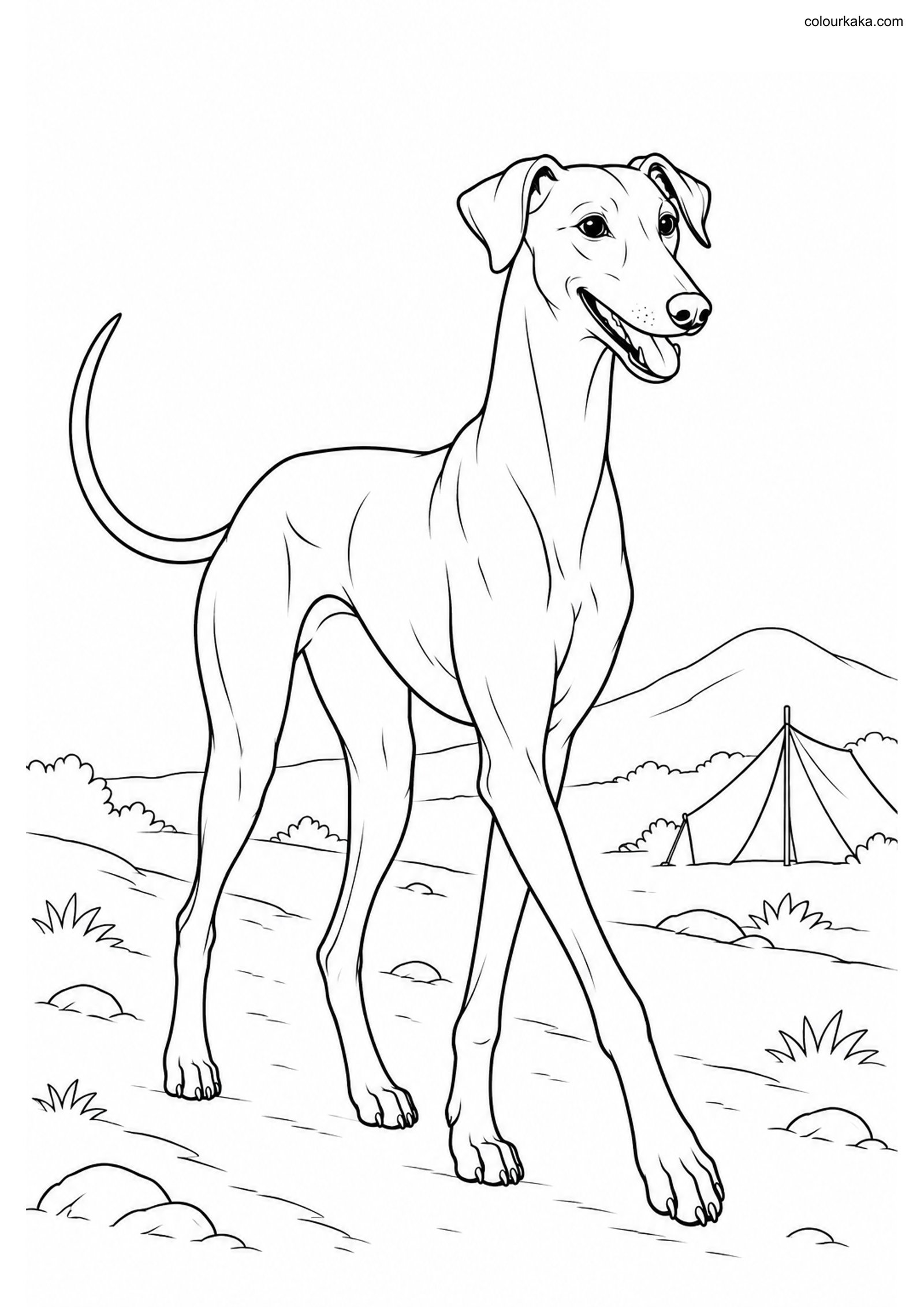 Caravan Hound Trail Coloring colouring page preview