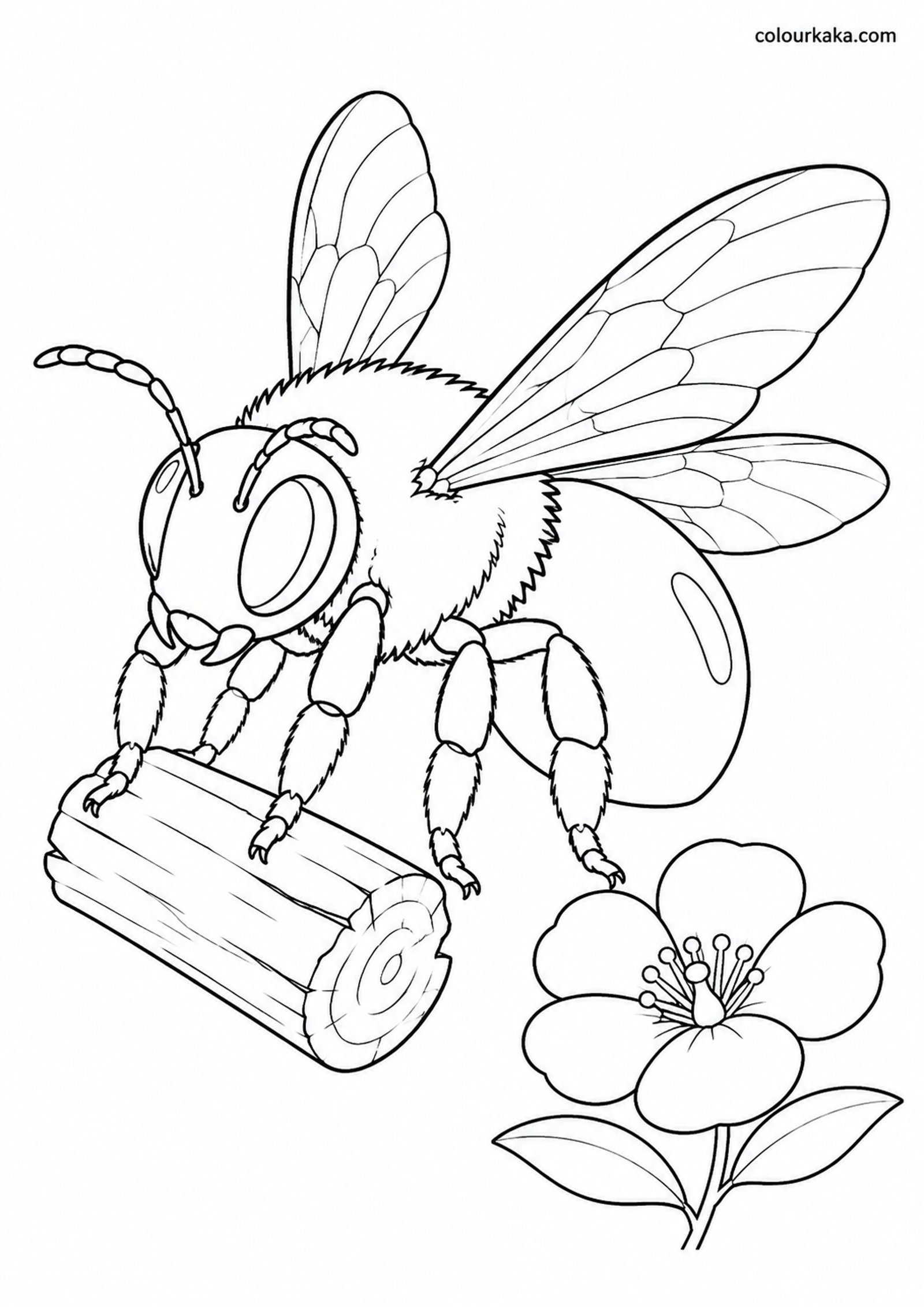 Carpenter Bee Colouring Page colouring page preview