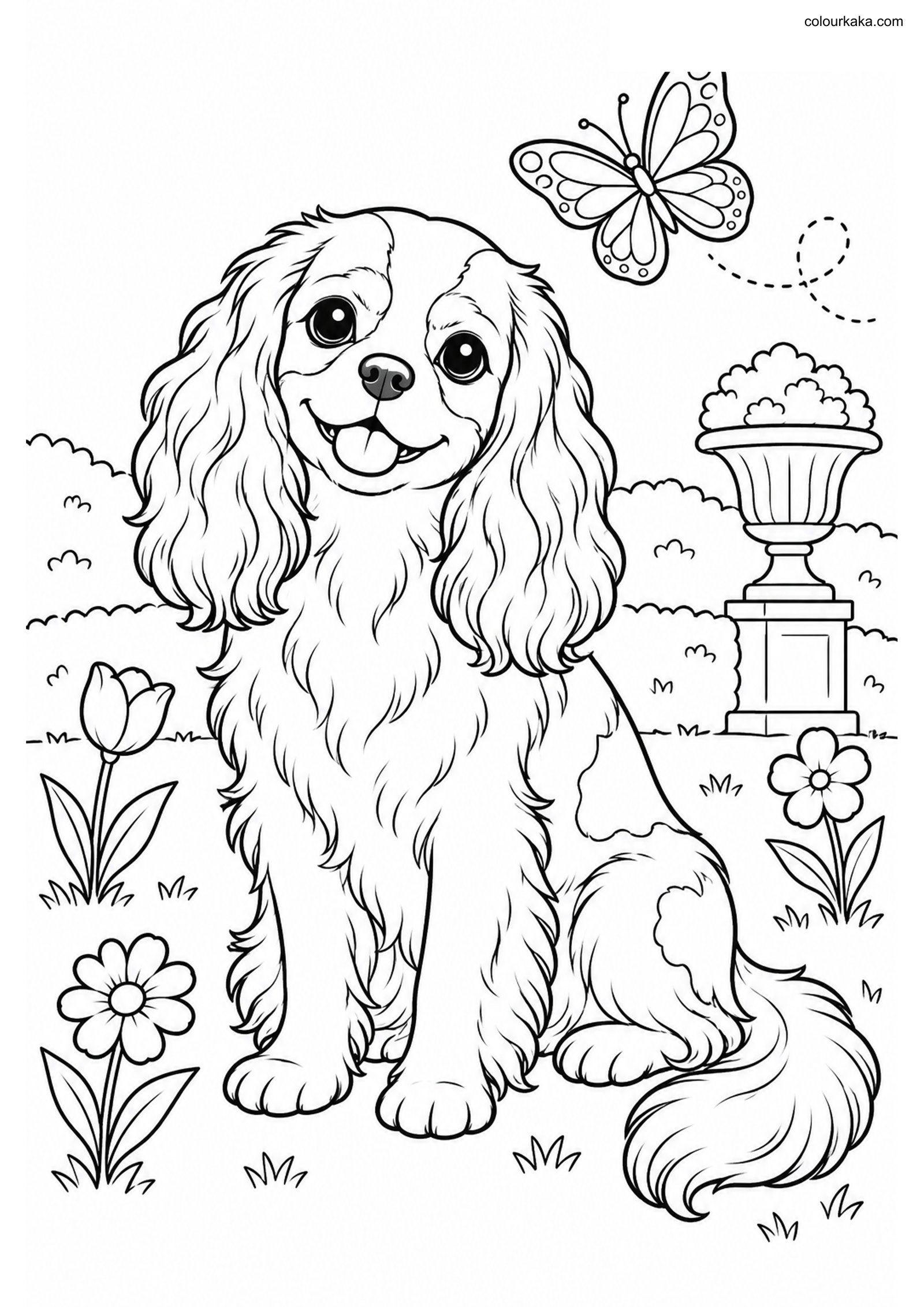 Cavalier Spaniel Colouring colouring page preview