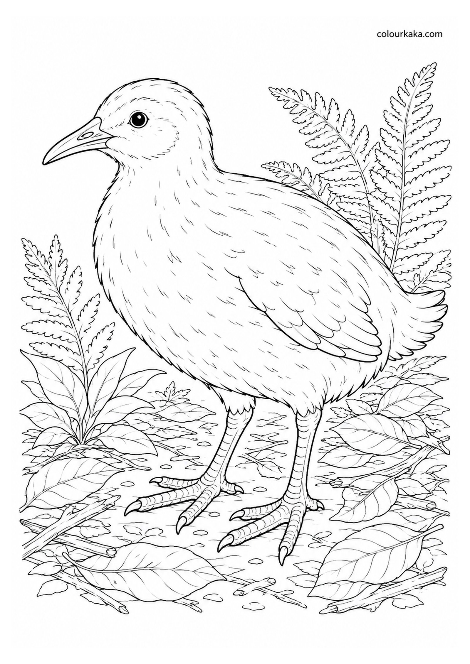 Chatham Rail Colouring Page colouring page preview